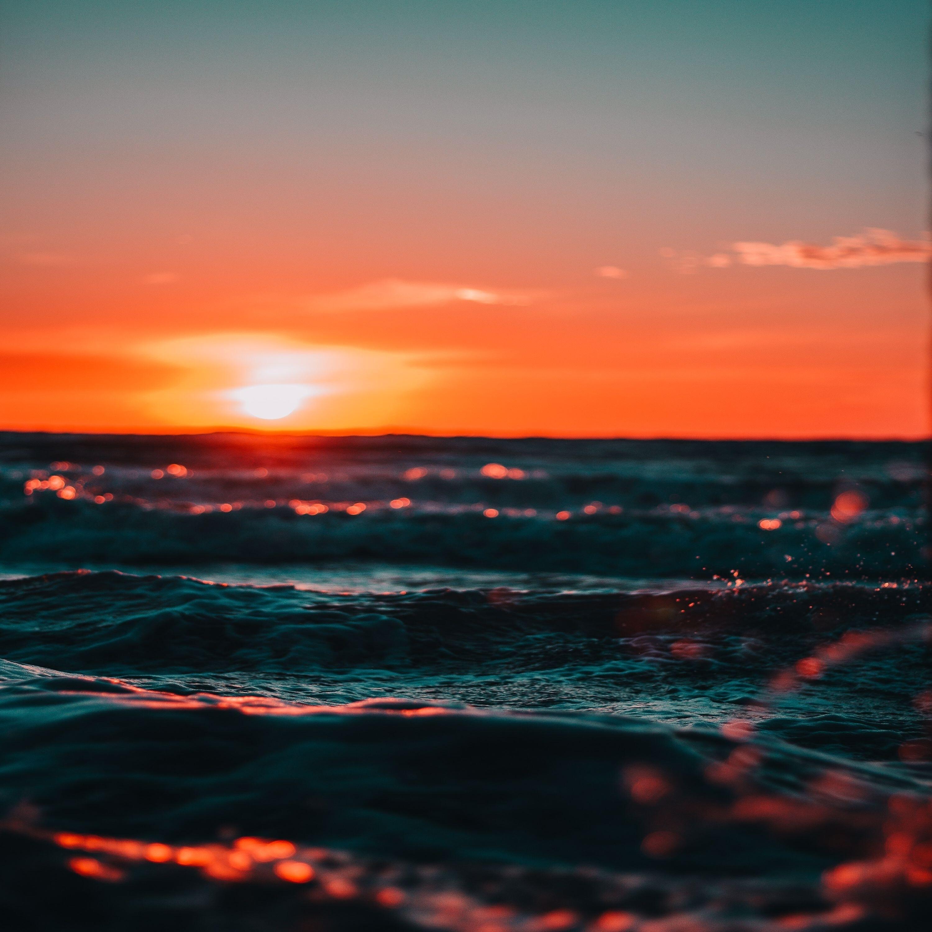 Релиз Mr. Sunshine