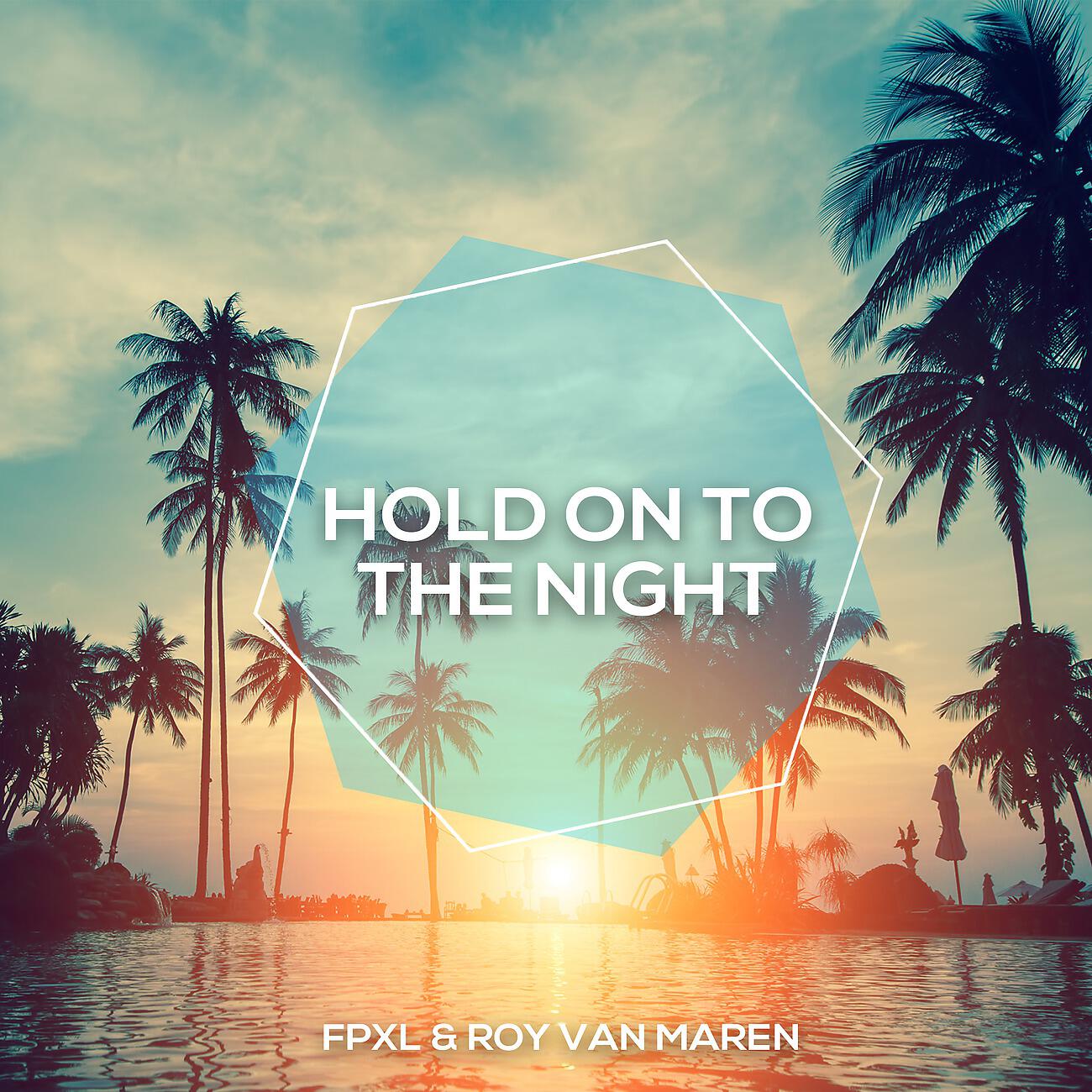 Постер альбома Hold On To The Night