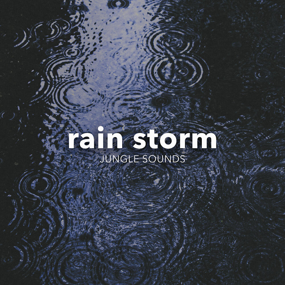 Релиз Rain Storm