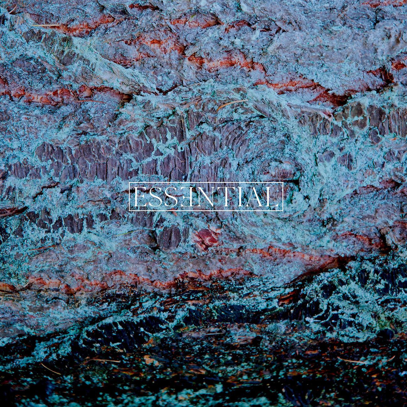 Релиз ESSENTIAL 003
