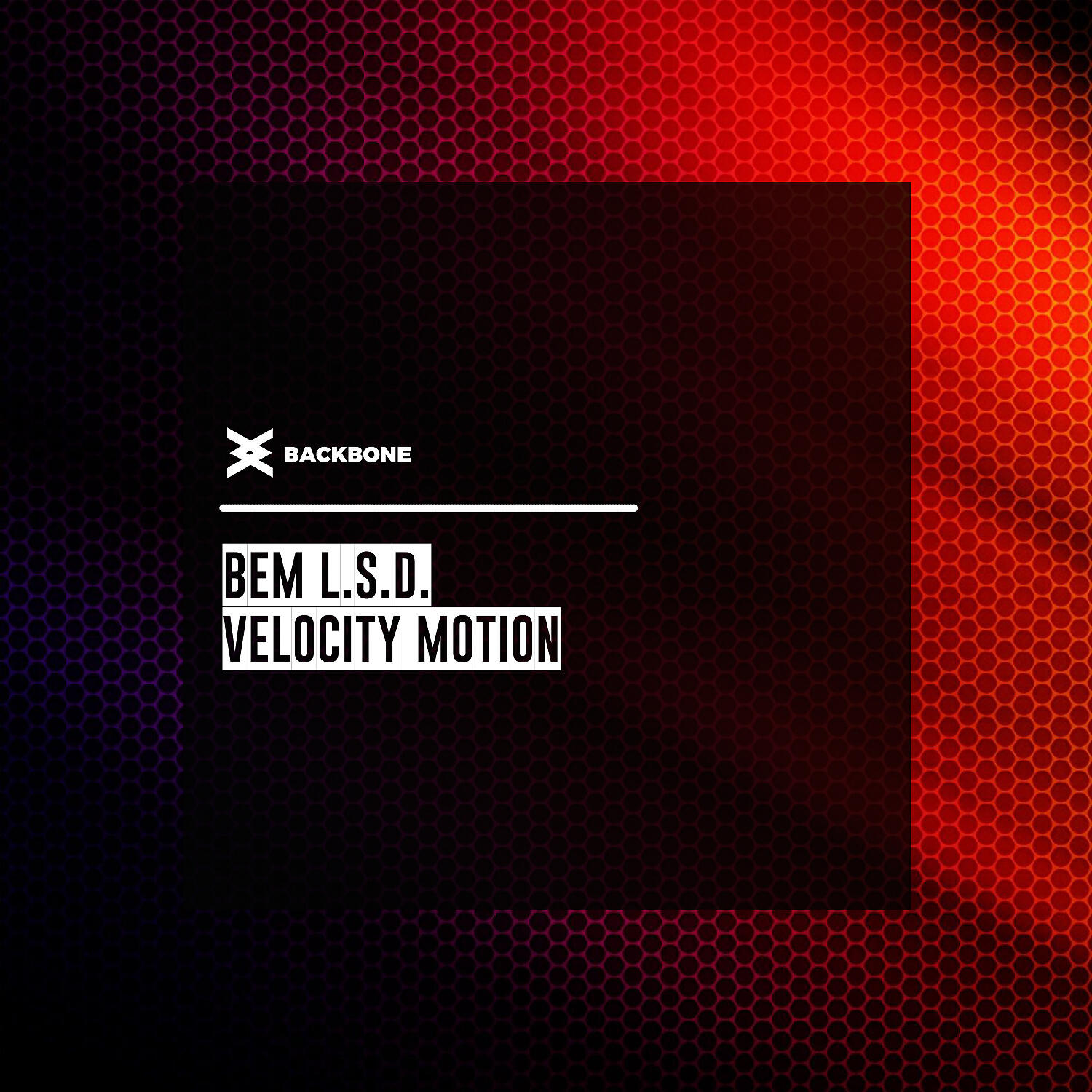 Релиз Velocity Motion