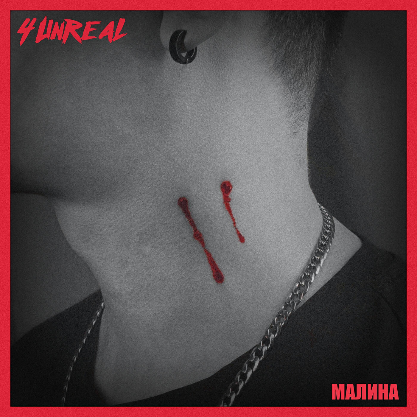 Релиз Малина