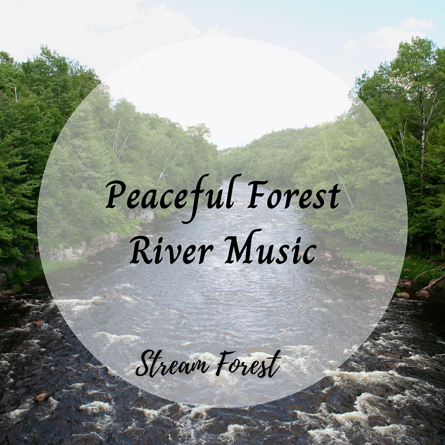 The Forest Escape & Meditation Music & Relaxing Spa Music - Stream Forest: Peaceful Forest River 1 Hour Music