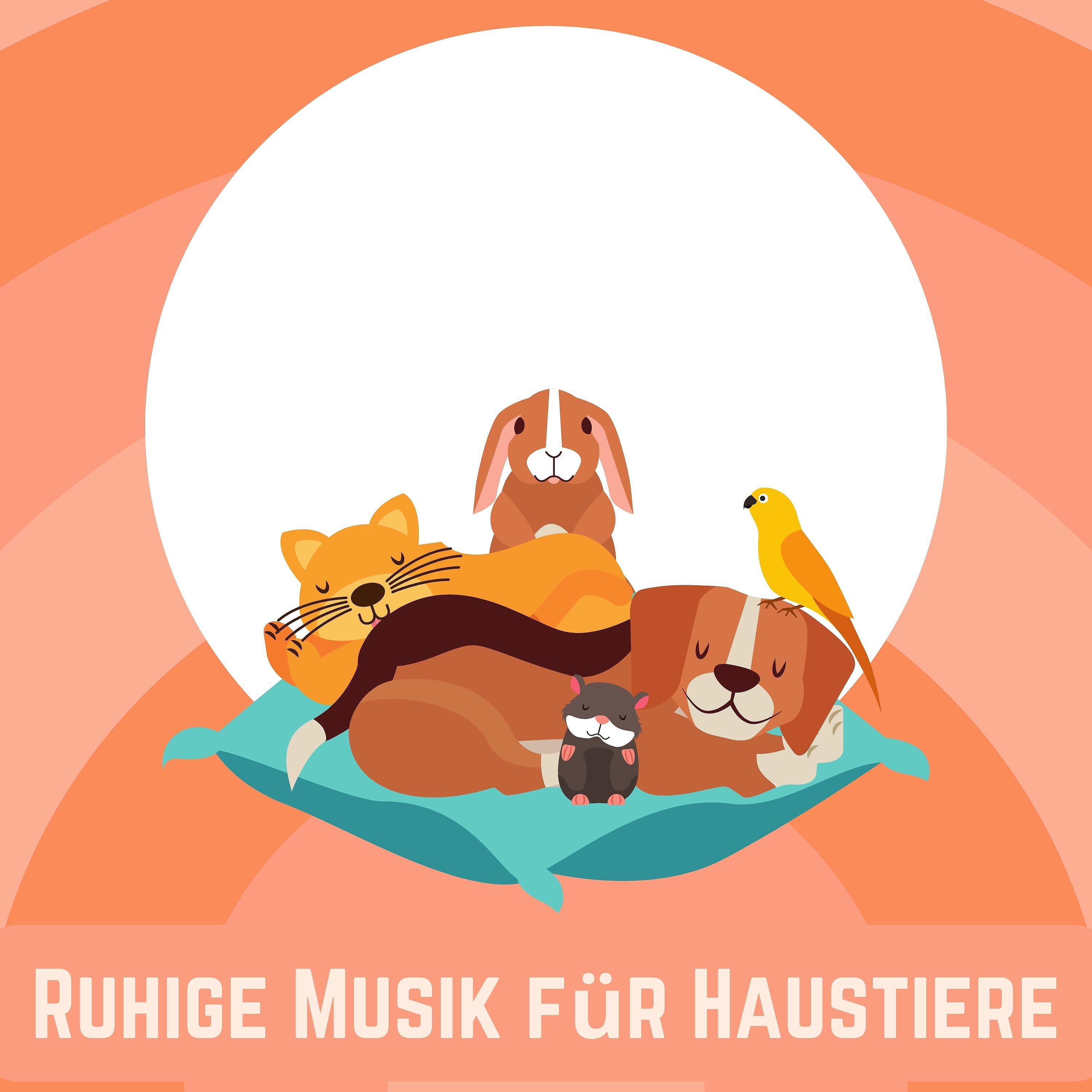 Релиз Ruhige Musik für Haustiere