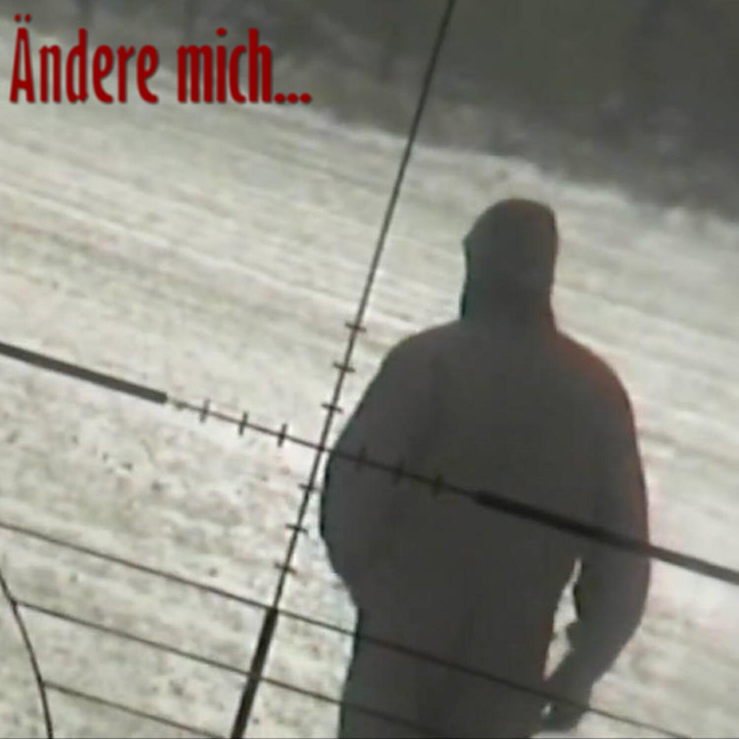Релиз Ändere mich