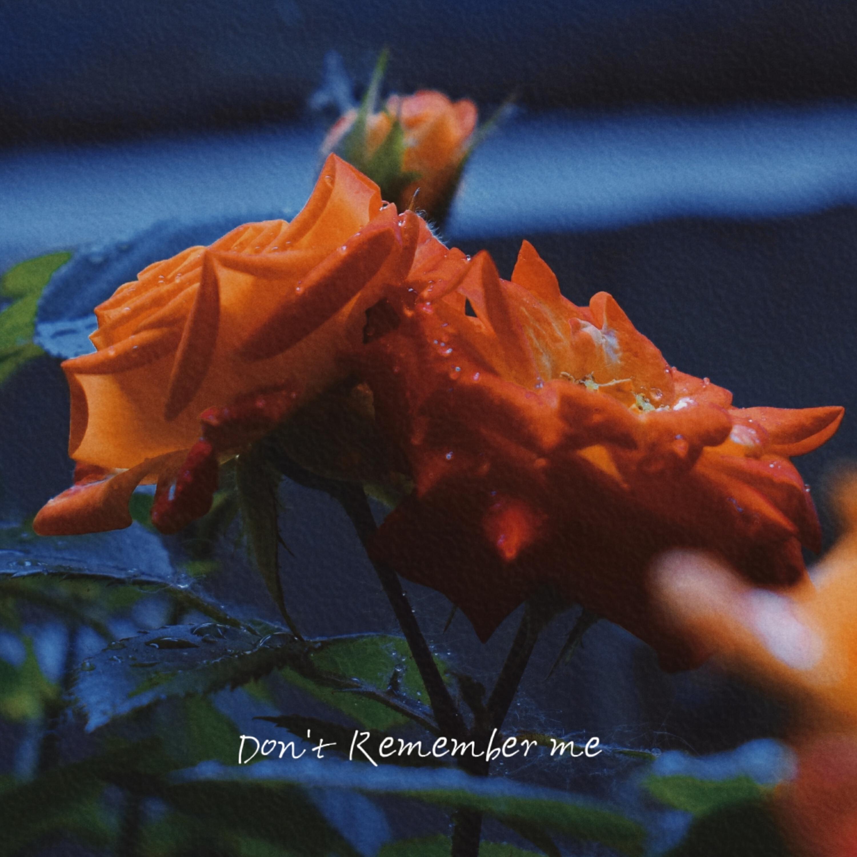 Релиз Don’t Remember Me