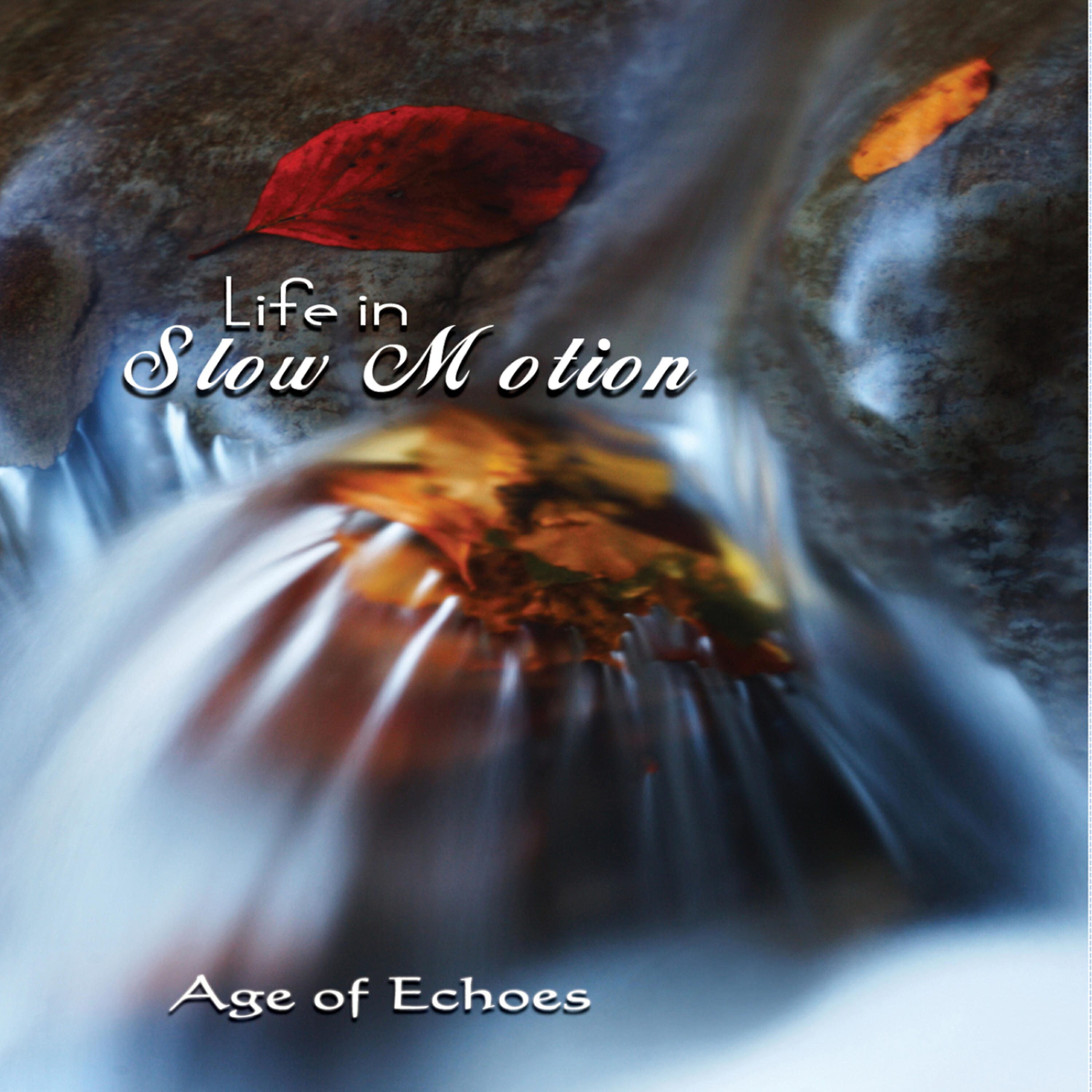 Релиз Life In Slow Motion