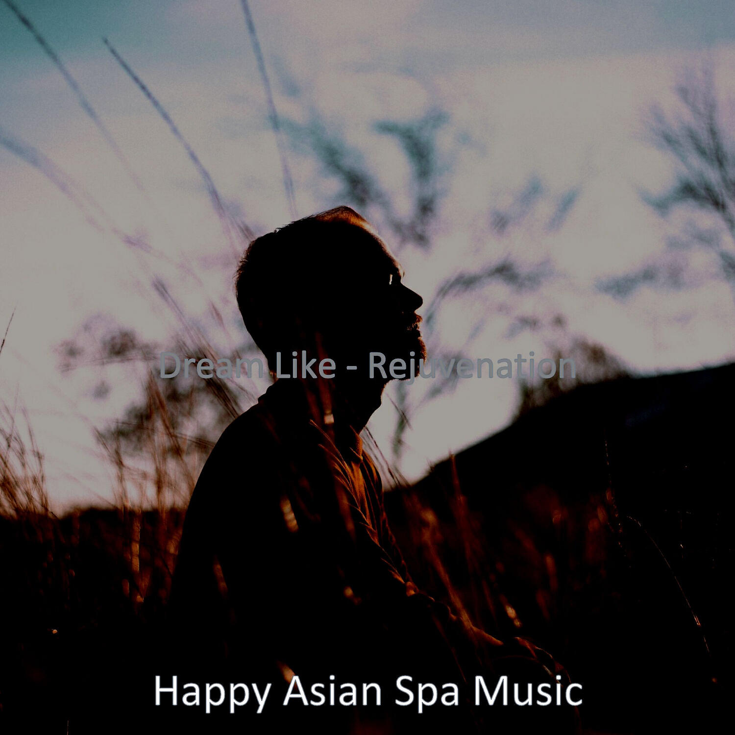 Релиз Dream Like - Rejuvenation