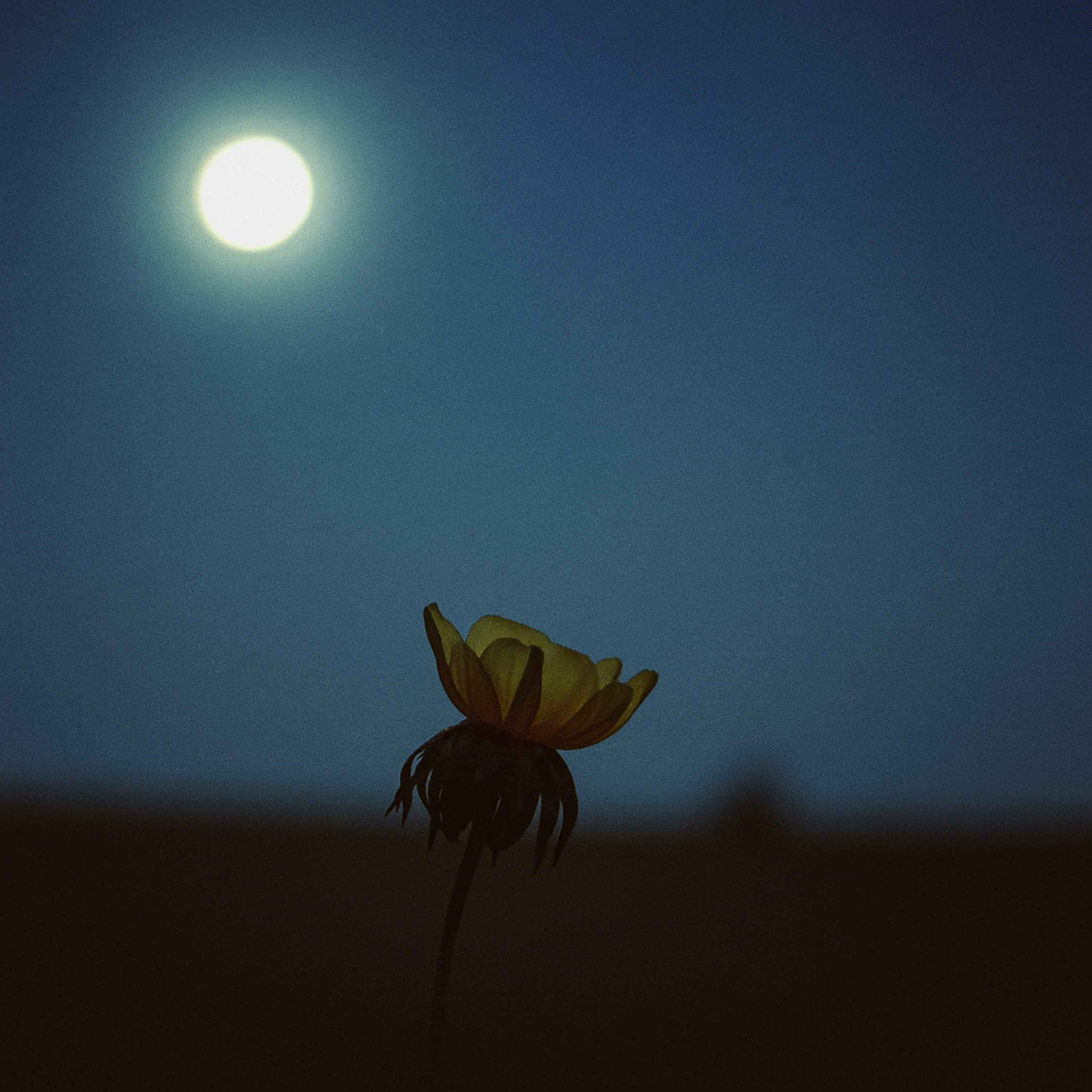 Релиз Любовь во мне устала