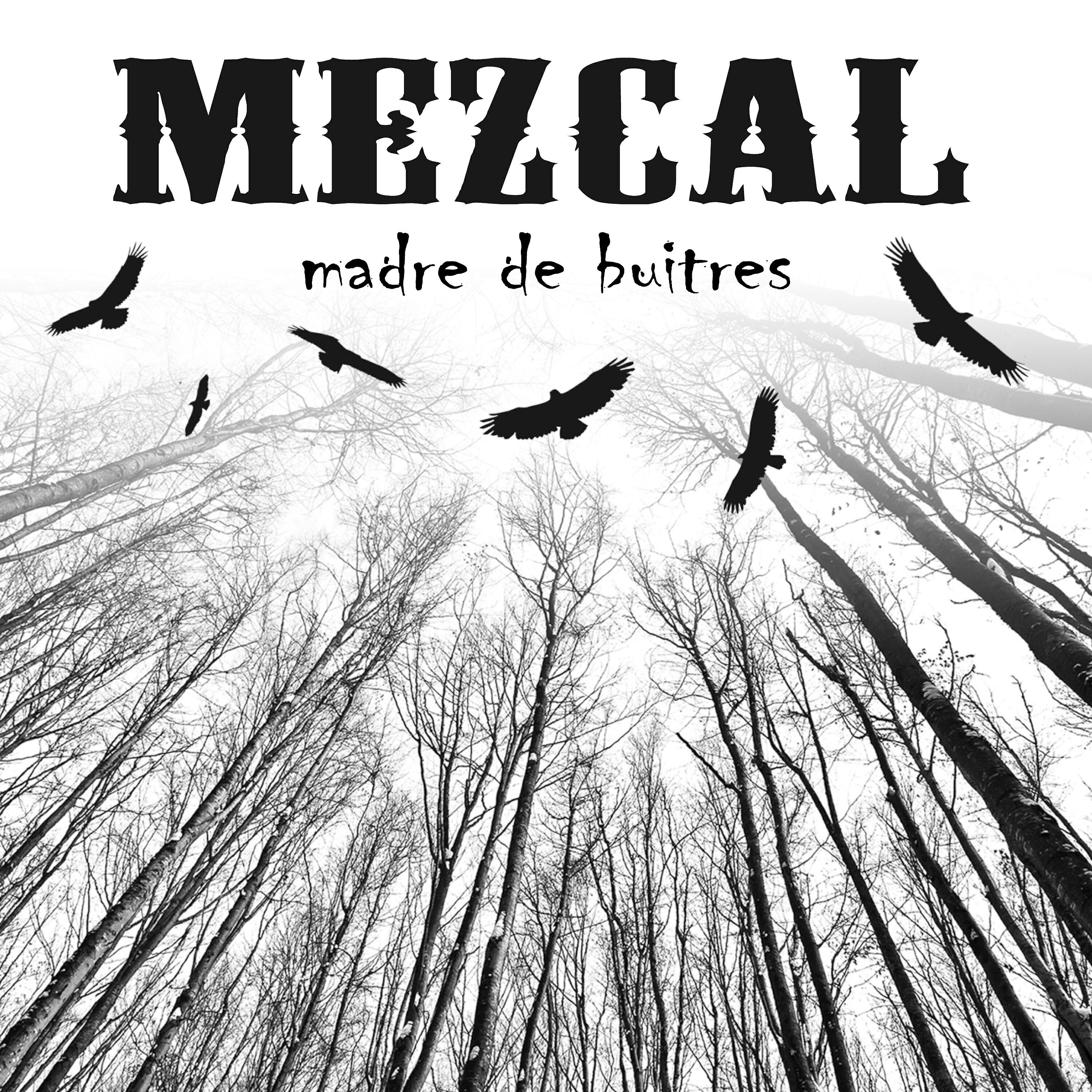 Релиз Madre de Buitres