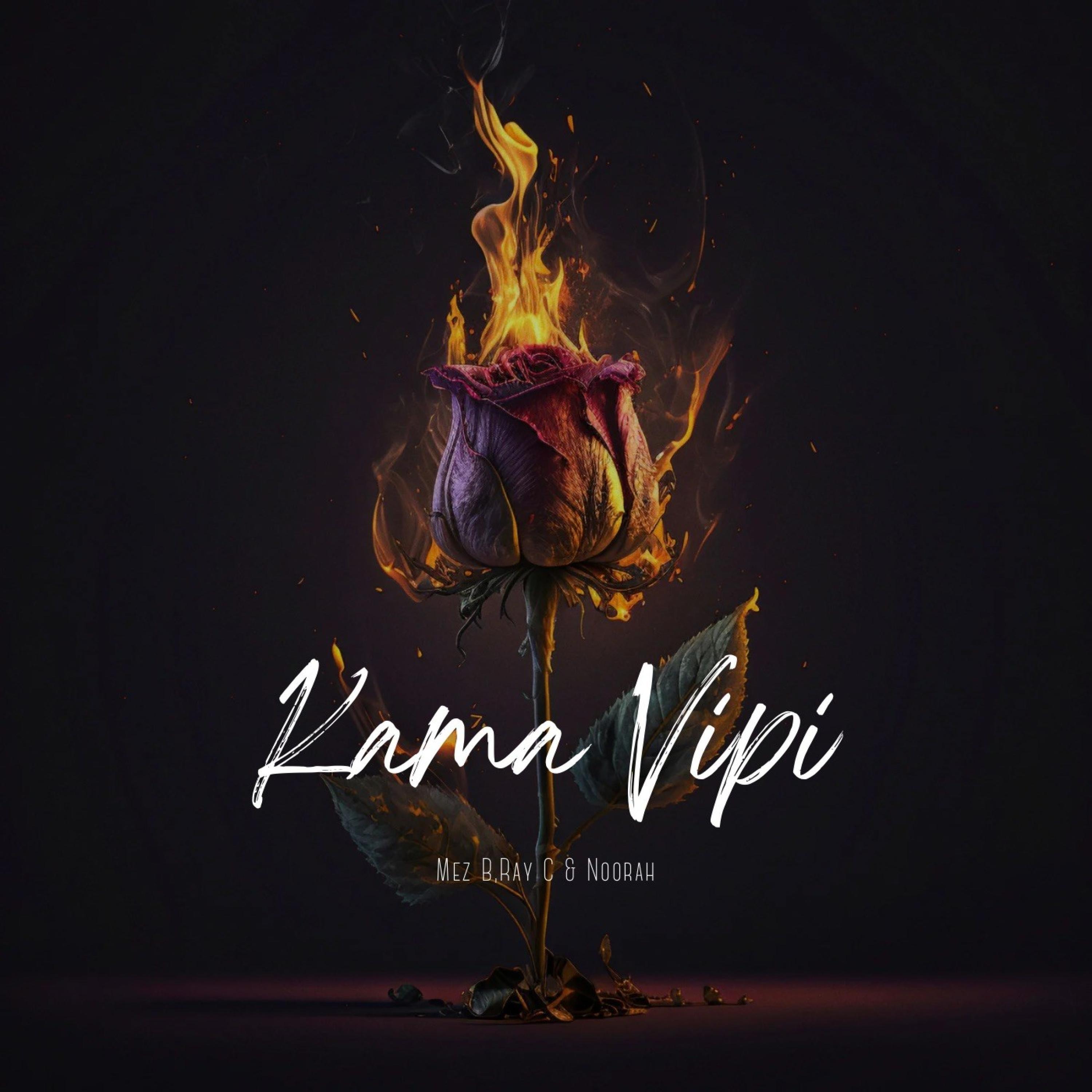 Релиз Kama Vipi (Mez B & Noorah Remix)