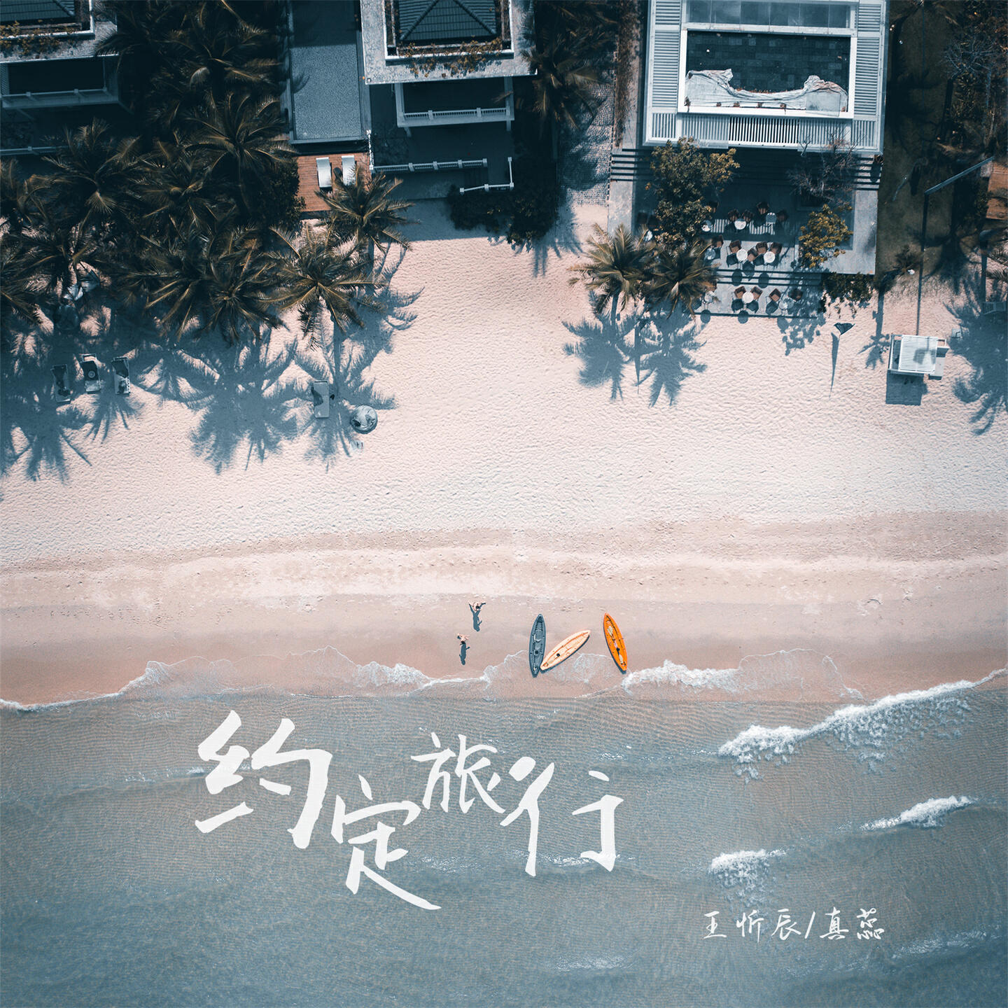 真蕊