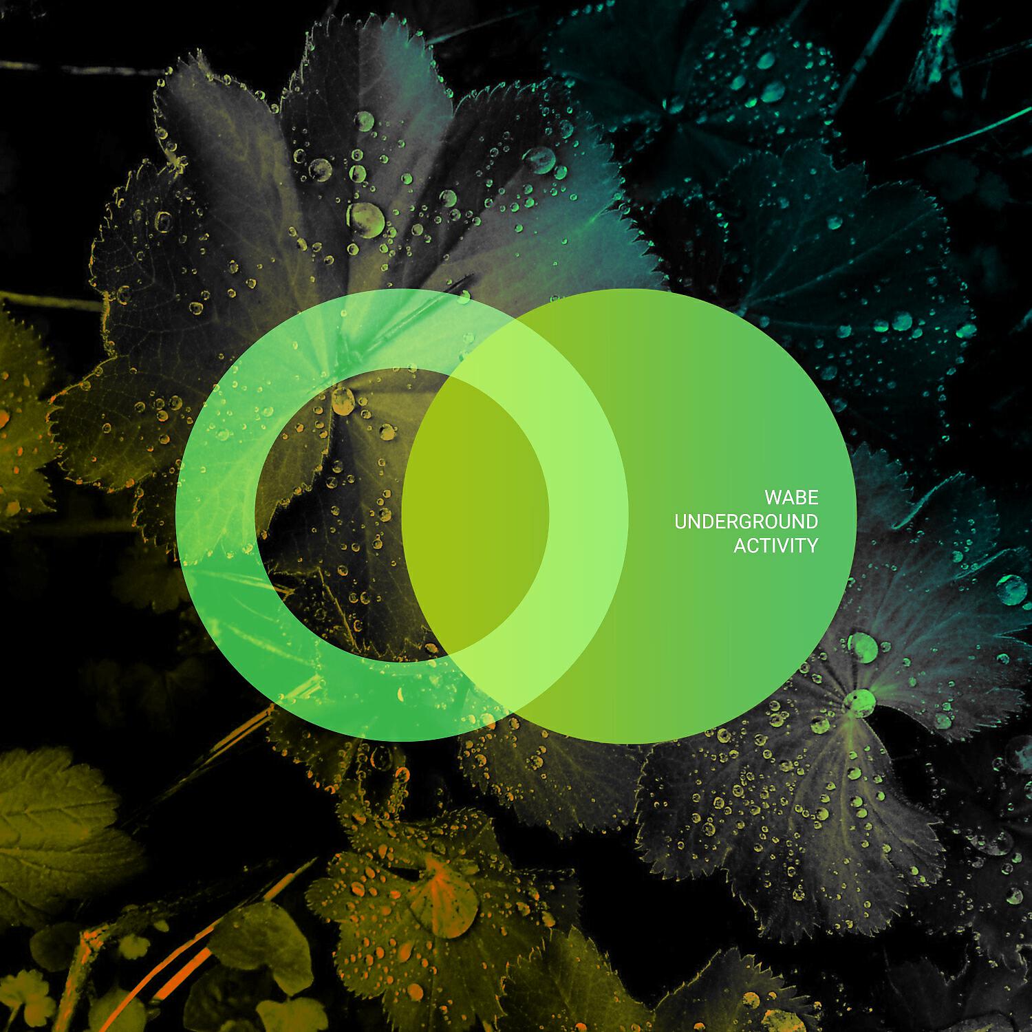 Релиз Underground Activity