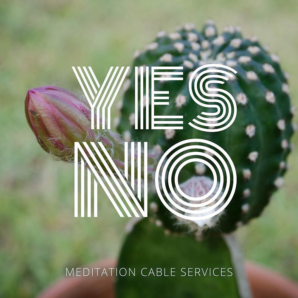 Релиз Yes No
