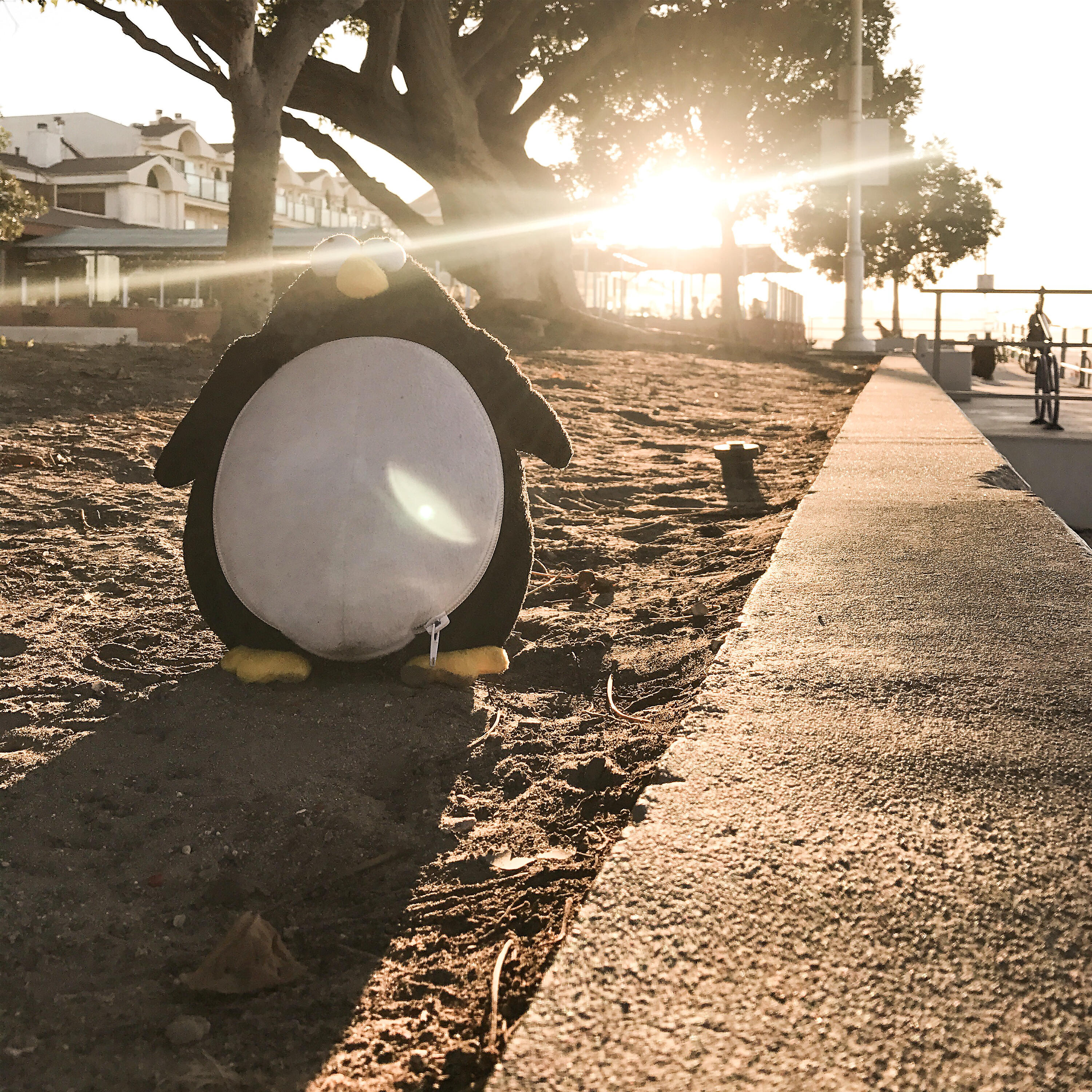 Релиз Soak up the Sun