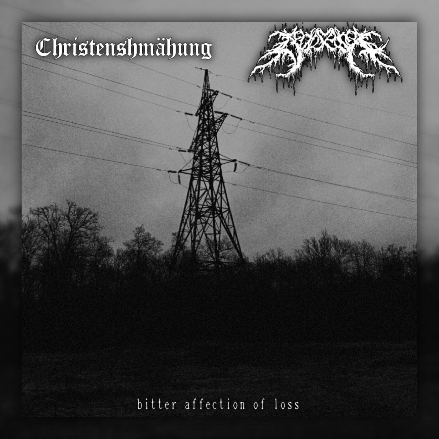 Релиз bitter affection of loss