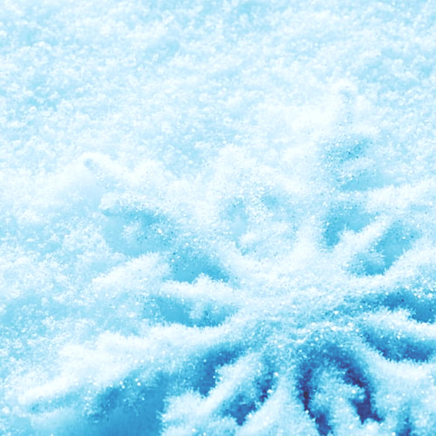 Релиз Schneemann
