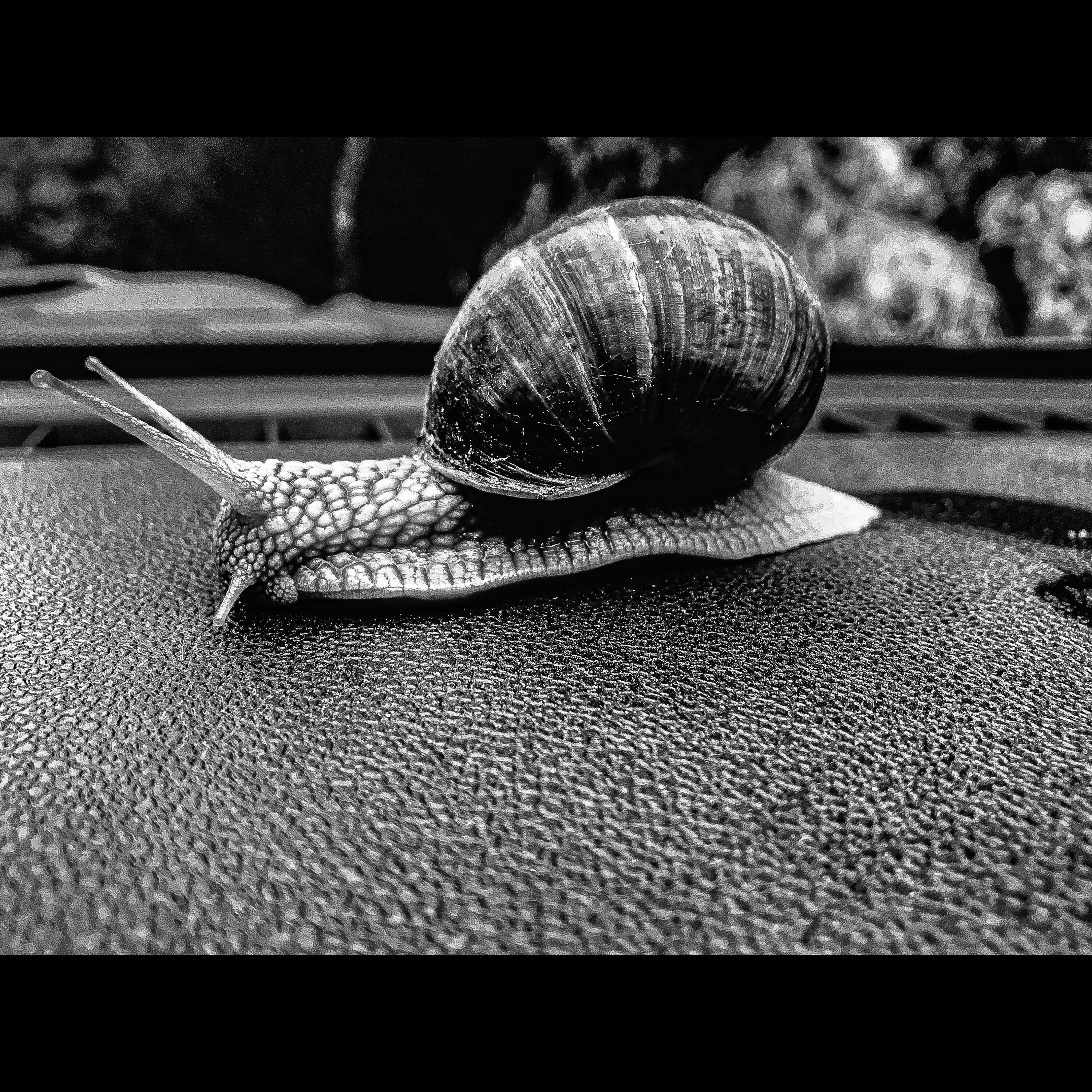 Релиз ЛЮТЫЙ