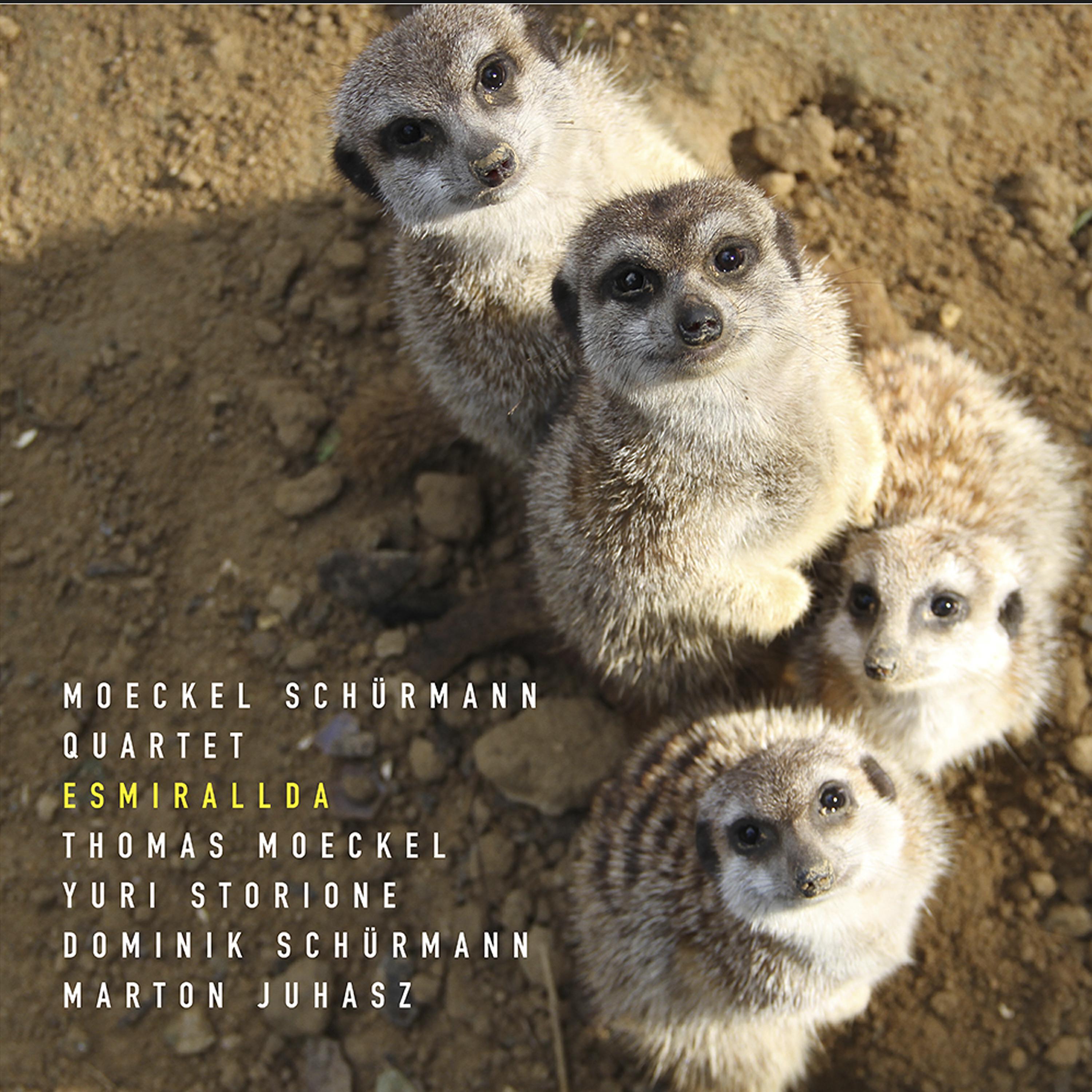 Moeckel Schürmann Quartet