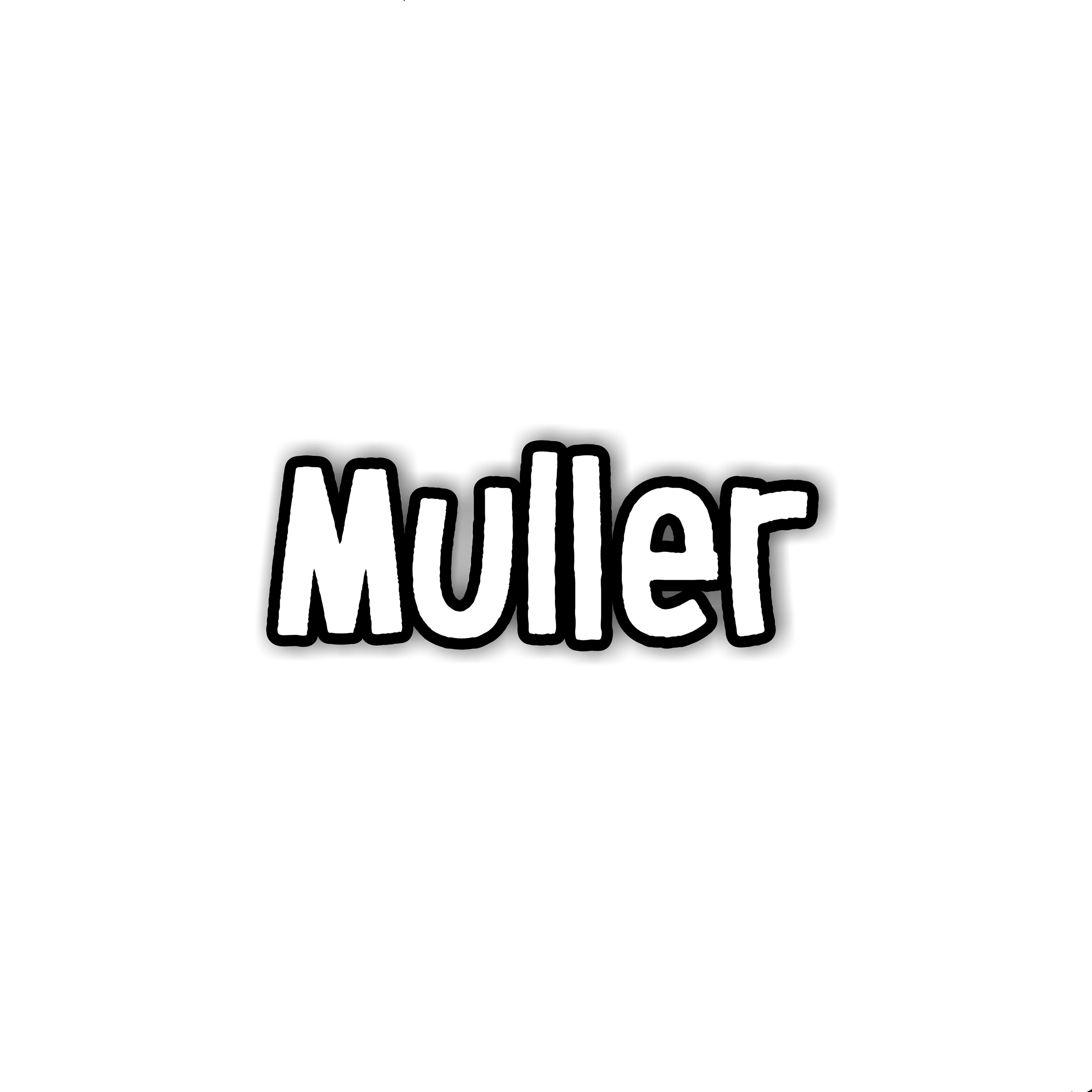 Постер альбома Muller