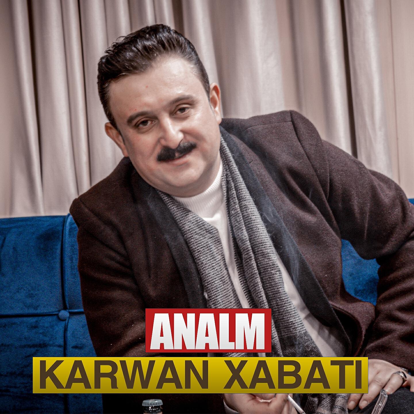 Постер альбома Analm