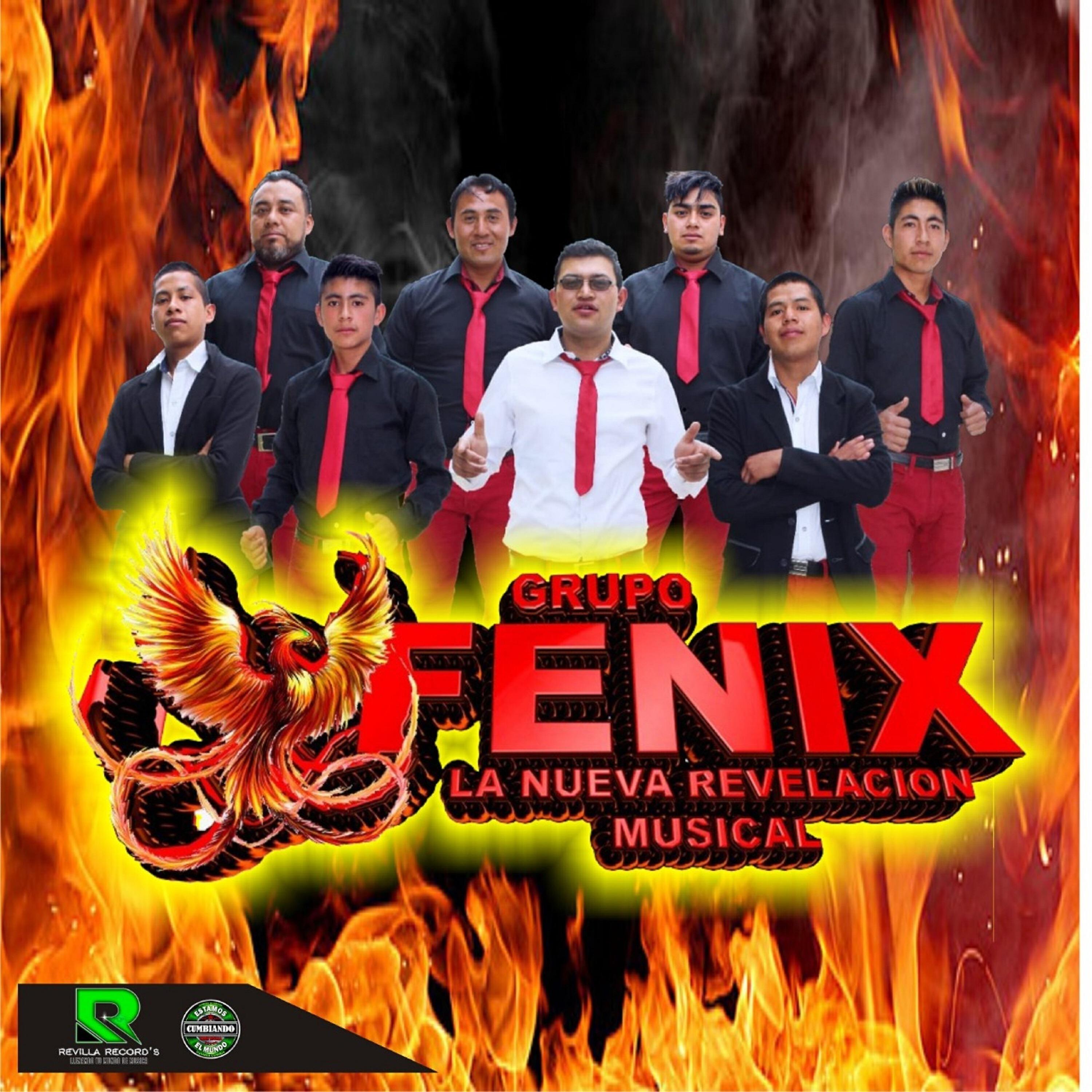 Grupo Fenix