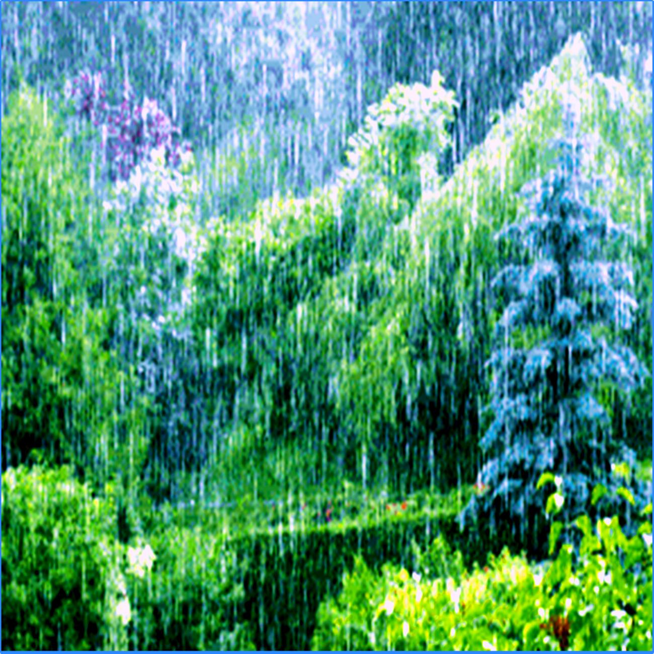 Rain Sounds, Natural Sounds, Nightnoise, Green Powered, Organic Sound, Tracks of Nature - Natures Path 17