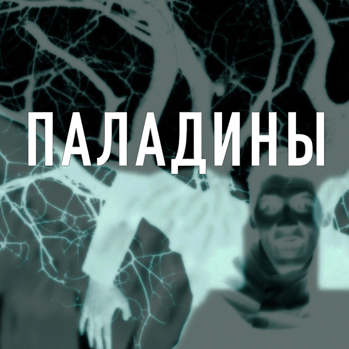 Релиз Паладины