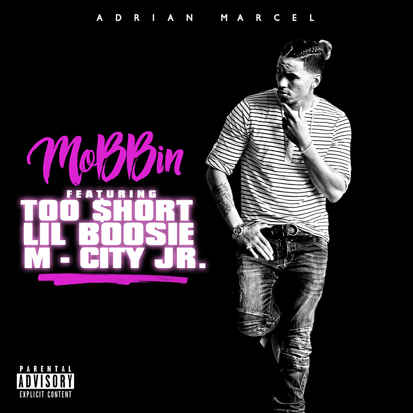 Релиз Mobbin