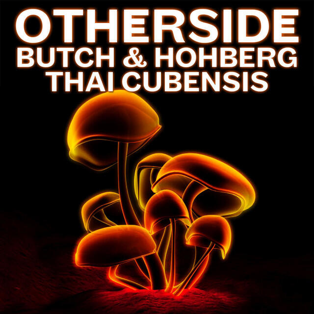 Релиз Thai Cubensis