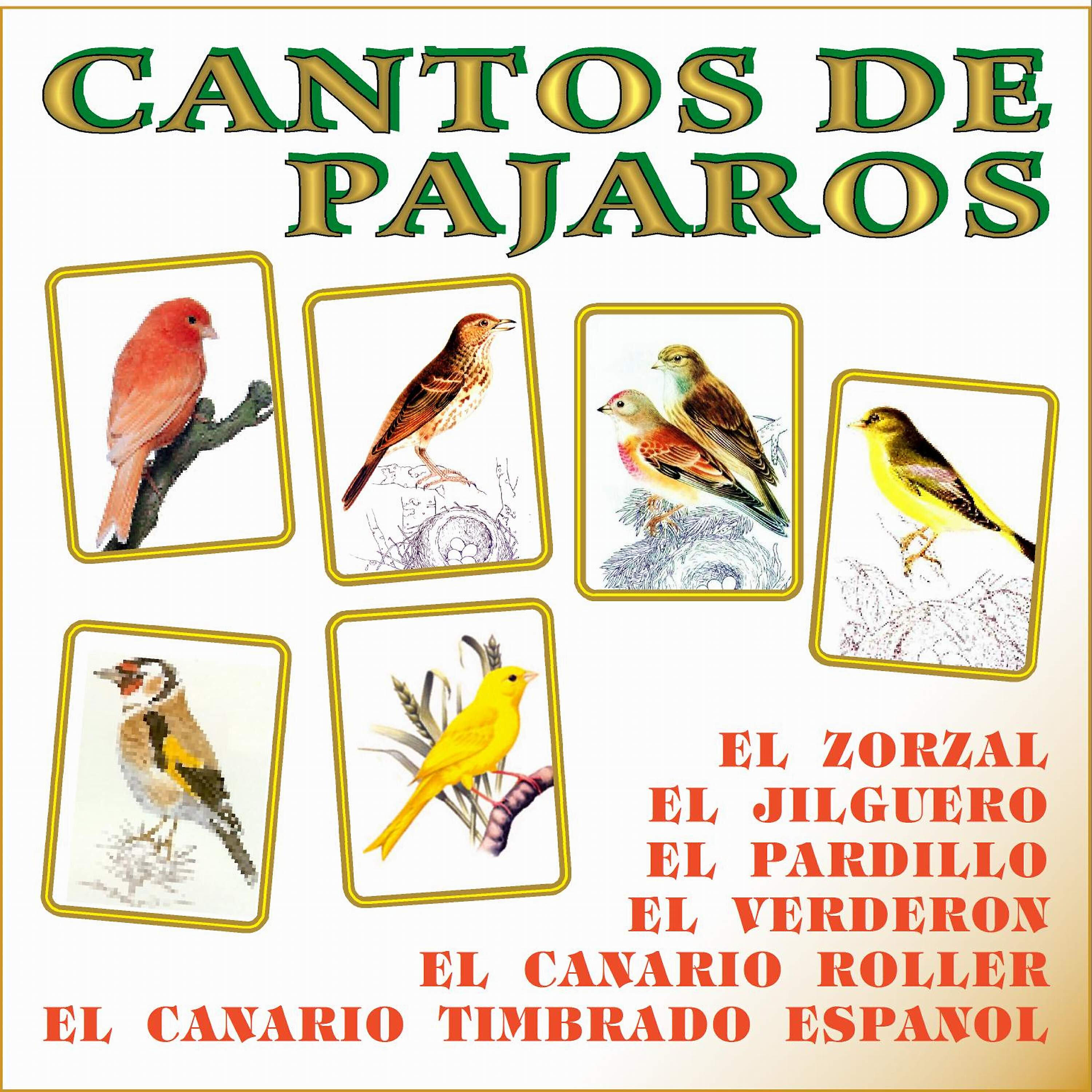 Cantos de Pájaros