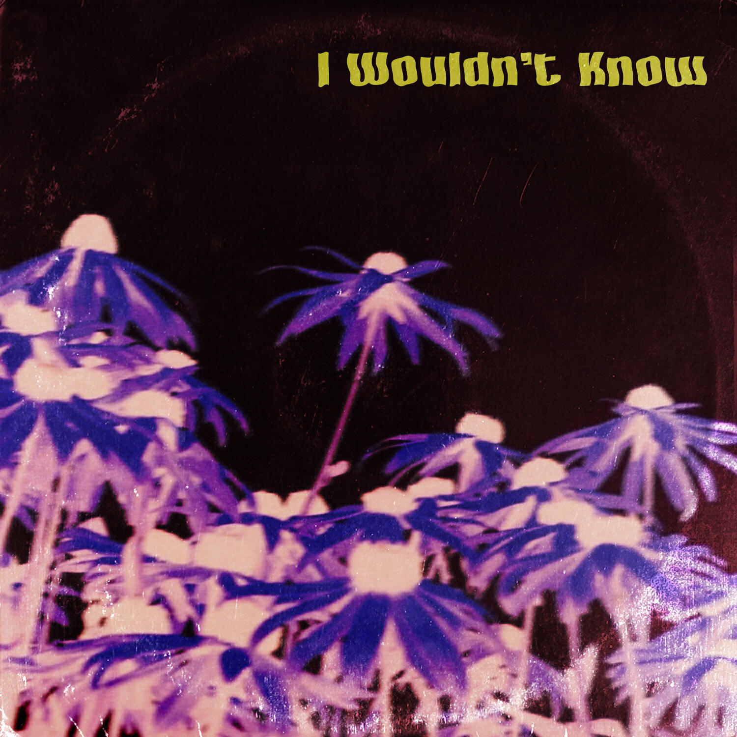 Релиз I Wouldn't Know