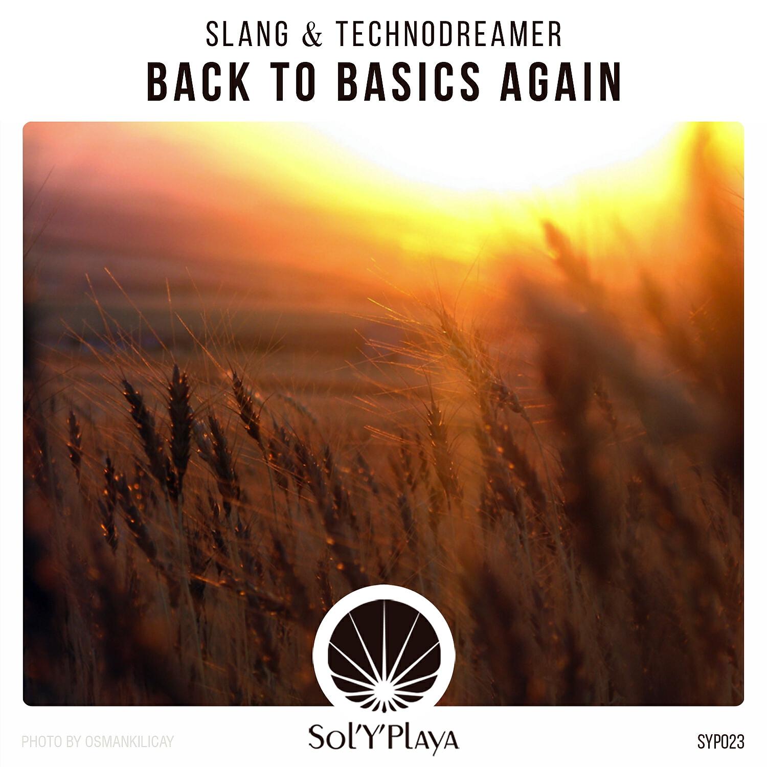 Релиз Back to Basics Again