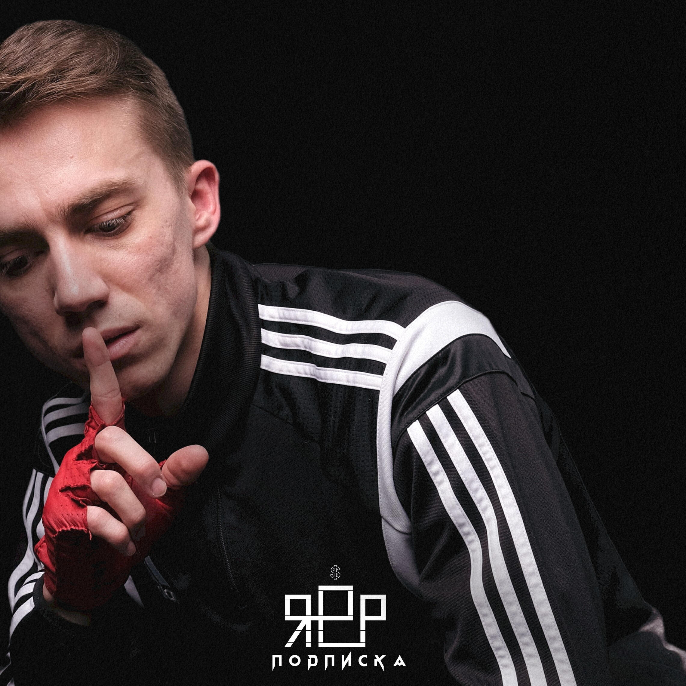 Релиз Подписка