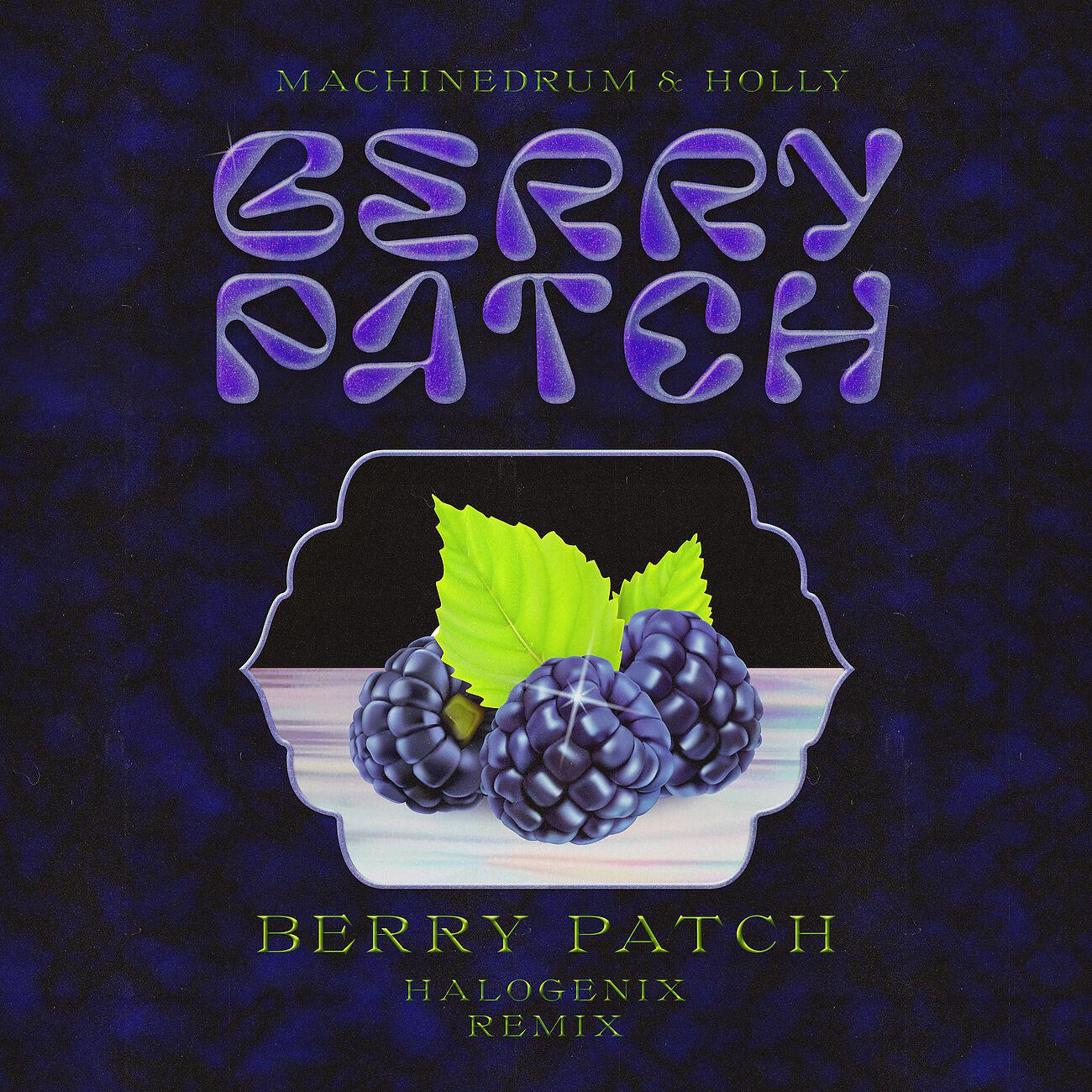 Постер альбома Berry Patch - Halogenix Remix