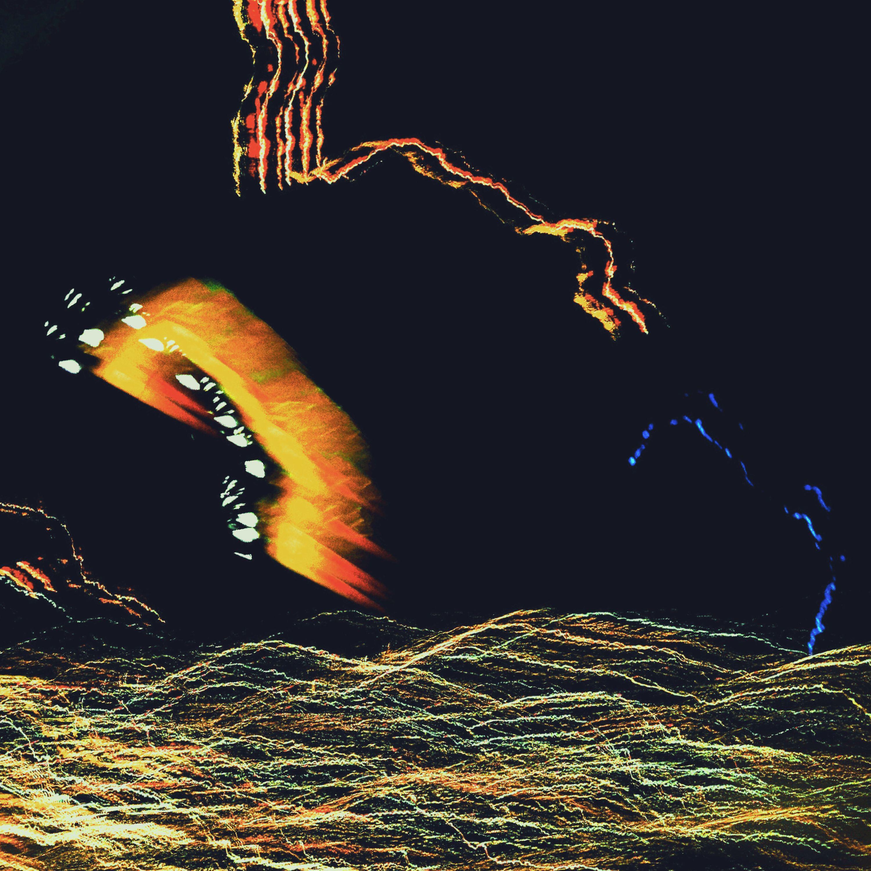 Релиз Animal Convention