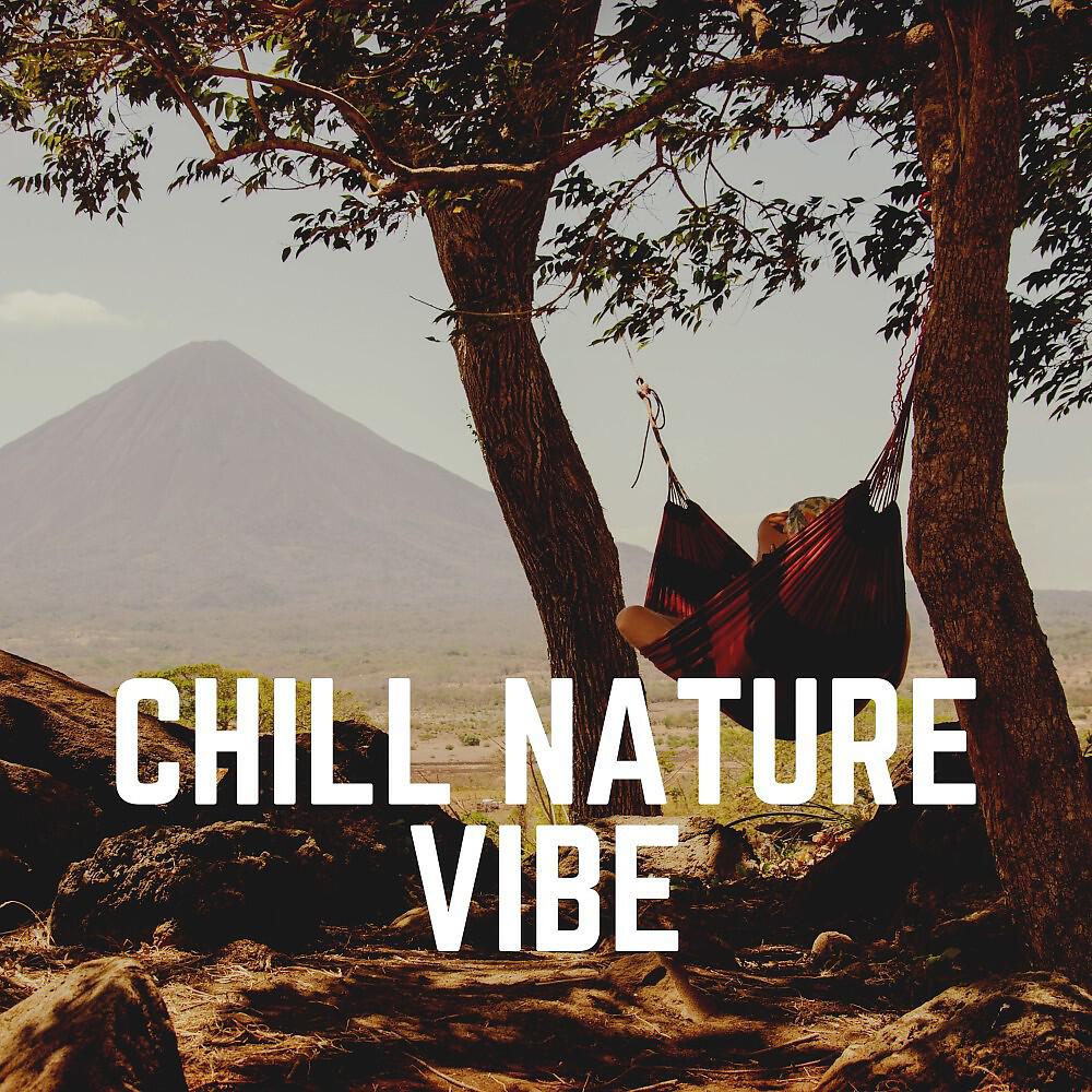 Релиз Chill Nature Vibe