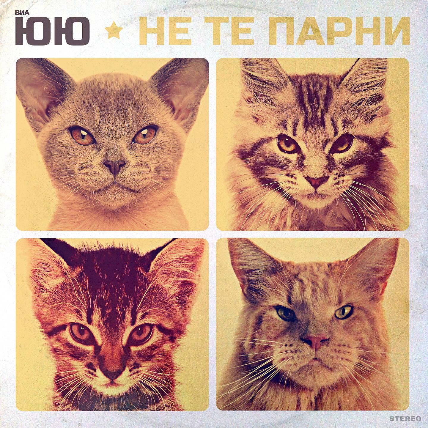 Релиз Не те парни