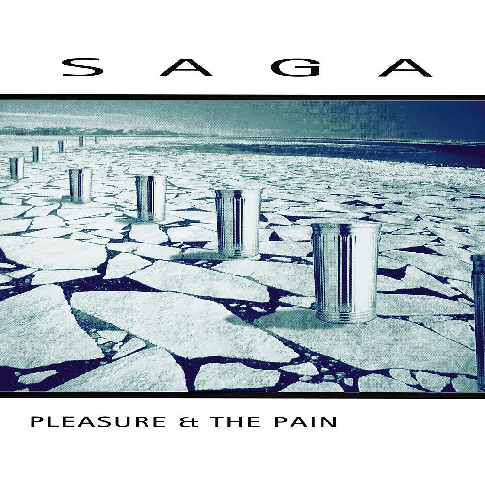 Релиз Pleasure and the Pain (2016 Version)