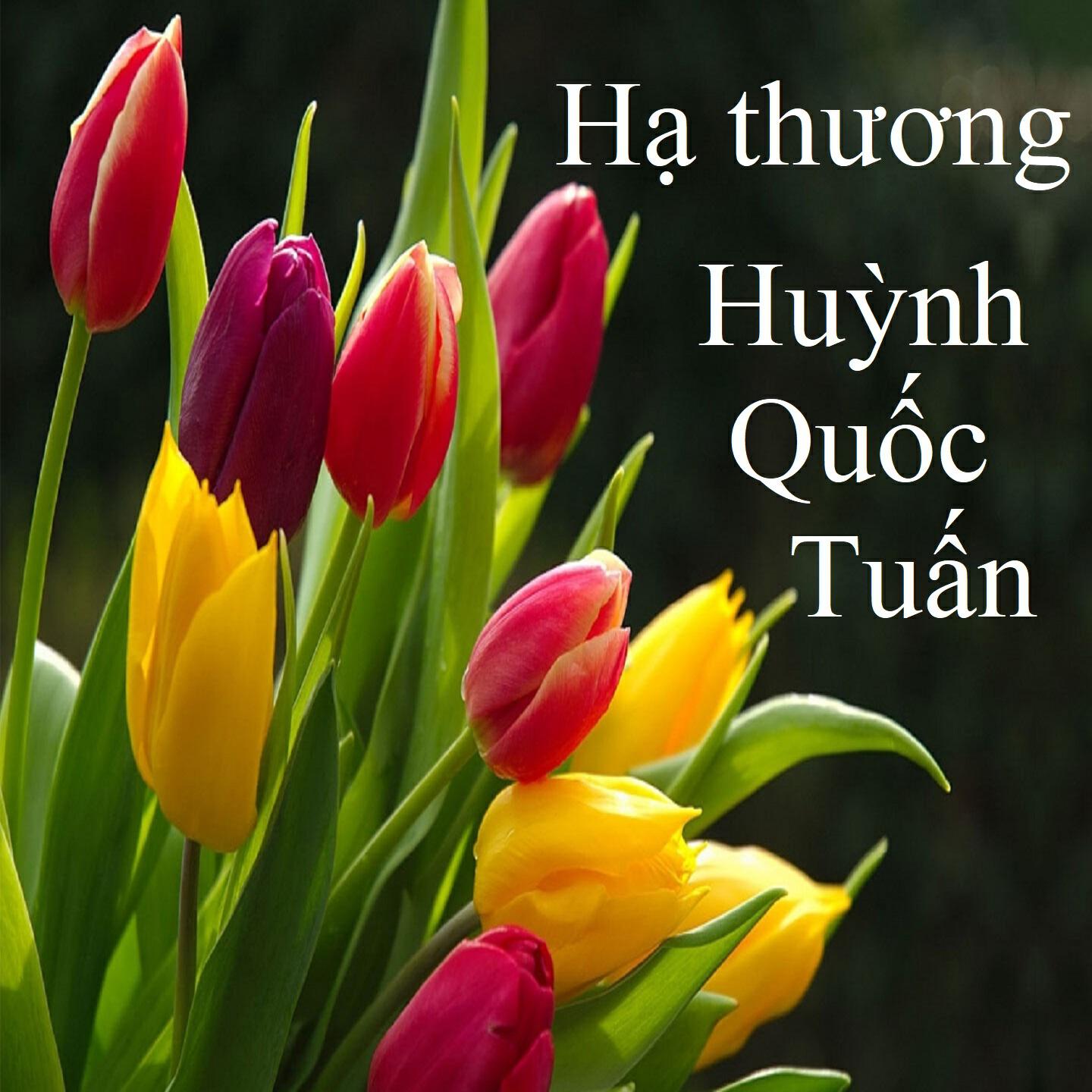 Huỳnh Quốc Tuấn