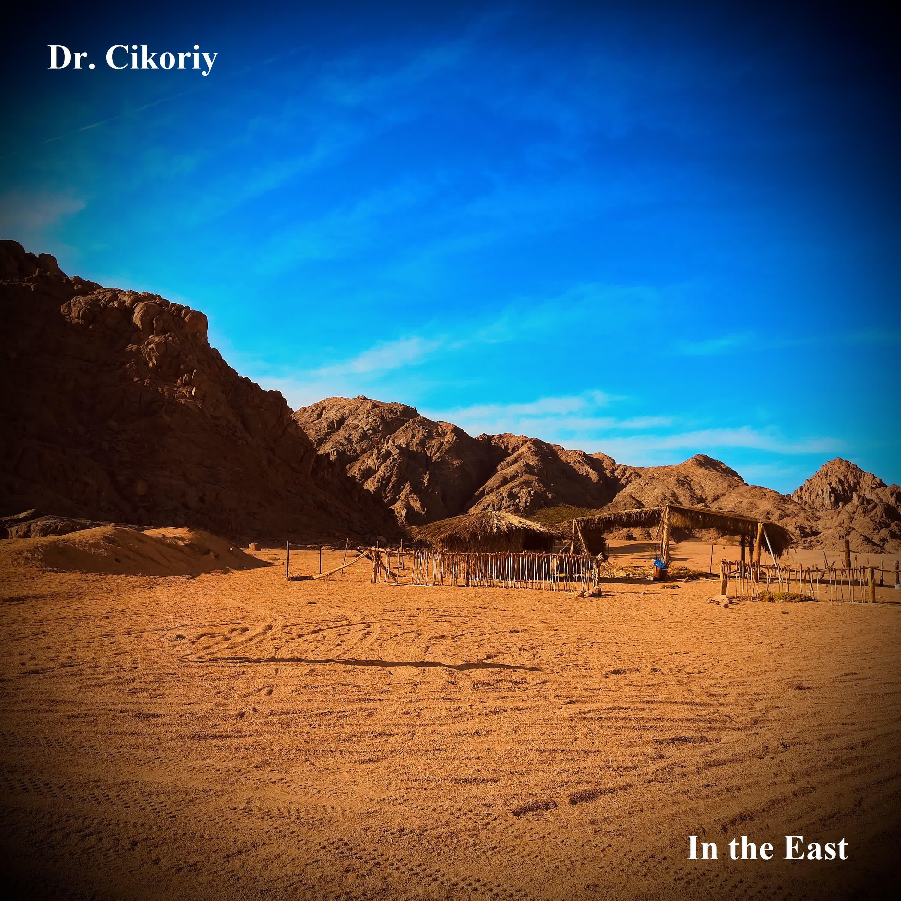 Релиз In the East