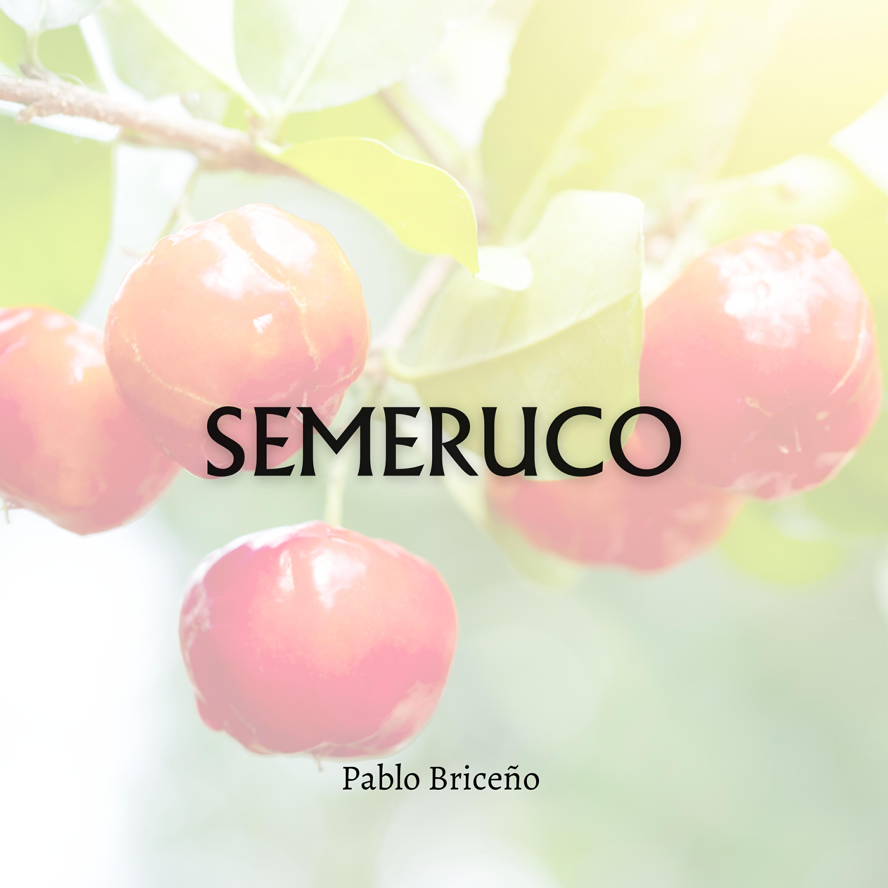 Релиз Semeruco