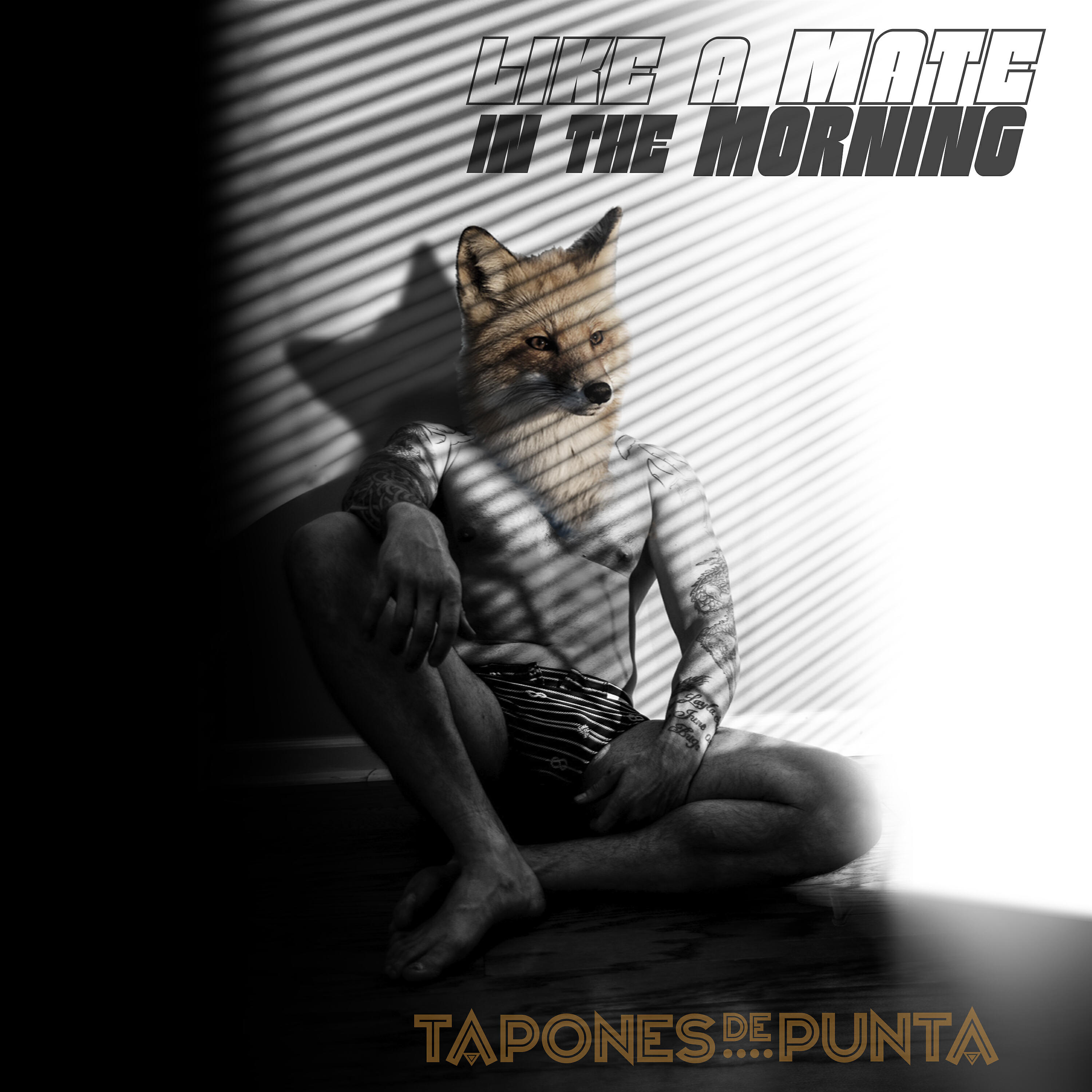 Релиз Like a Mate In The Morning