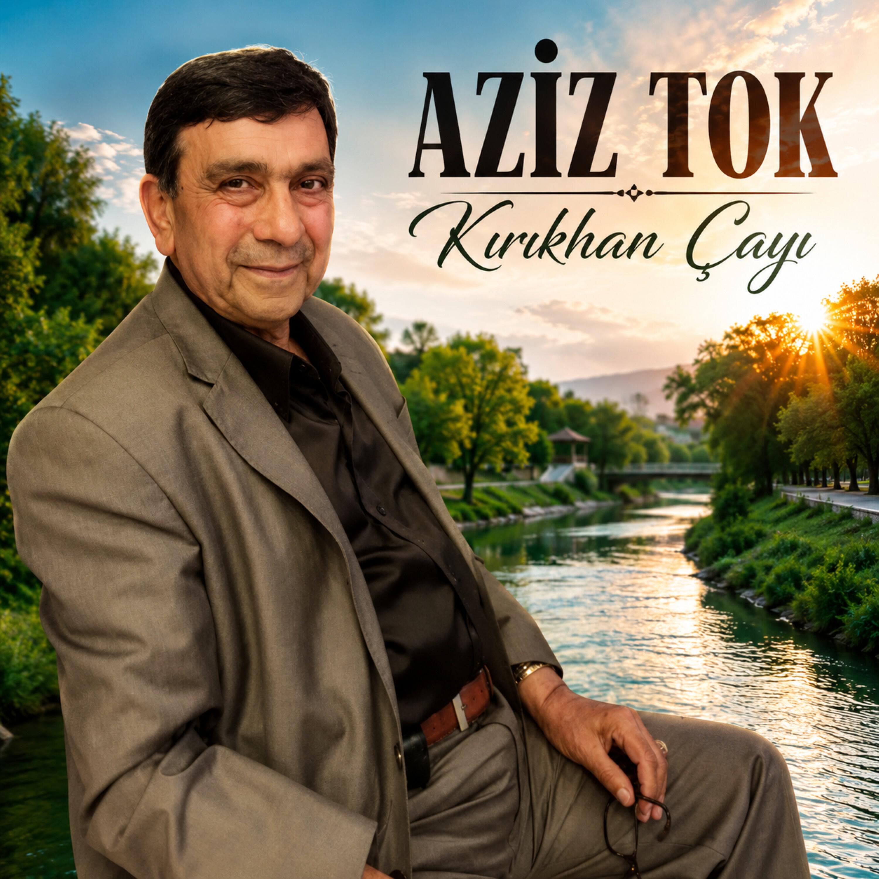 Aziz Tok