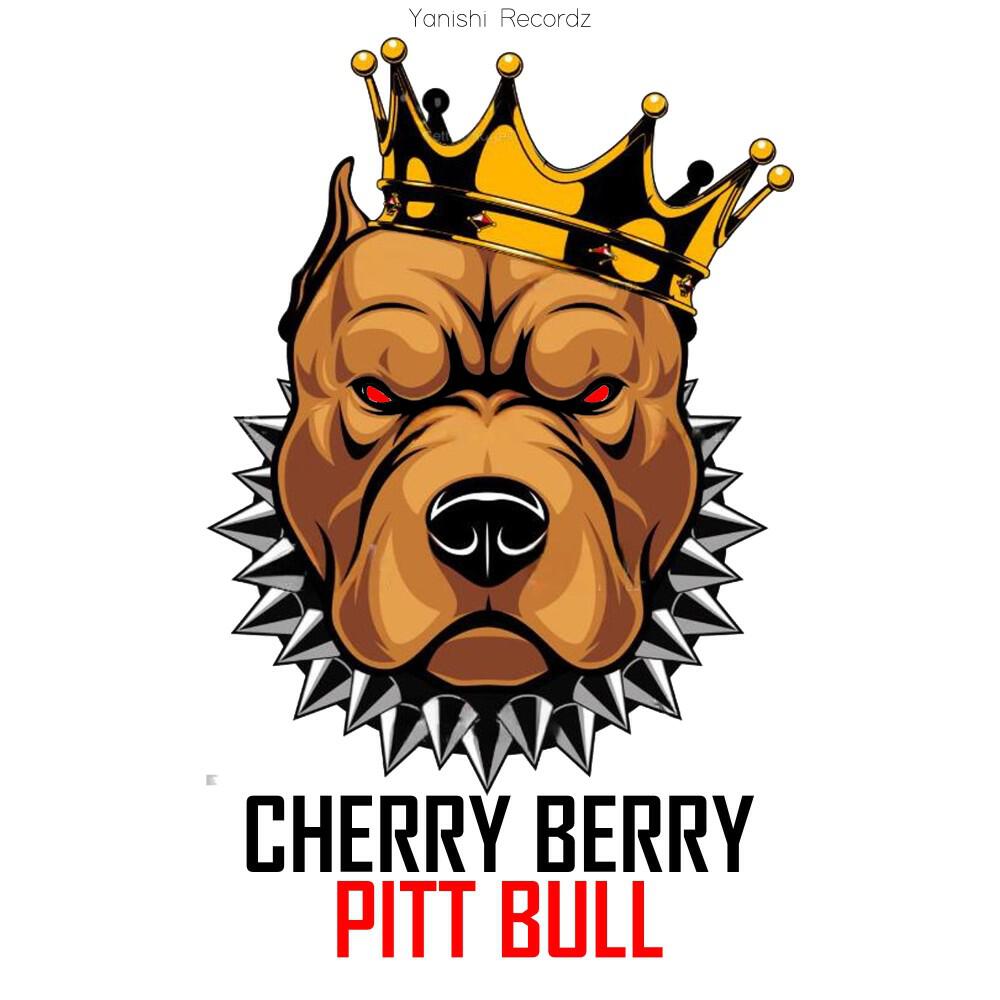 Постер альбома Pitt Bull