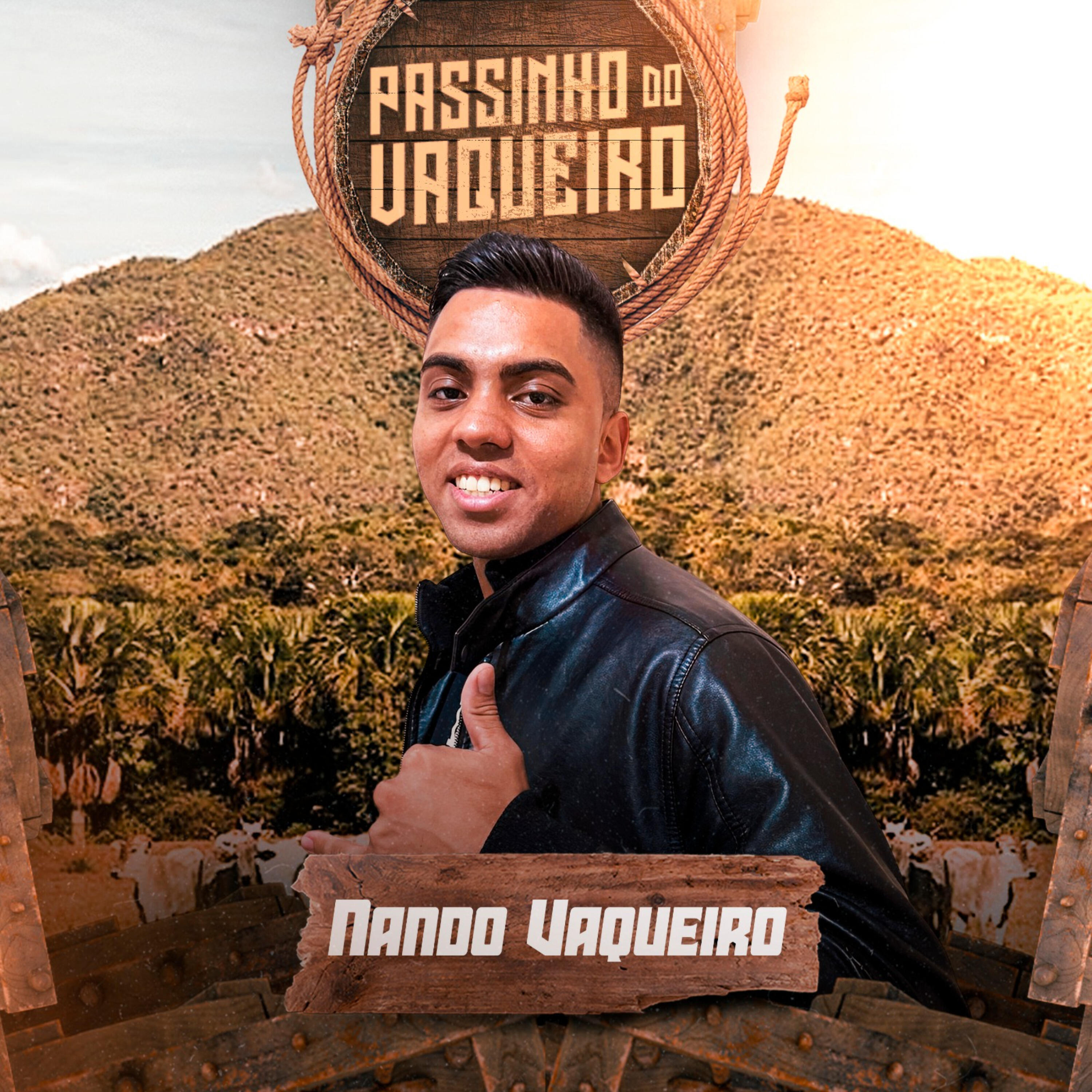 Релиз Passinho do Vaqueiro