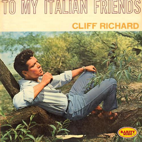 Релиз To My Italian Friends: Rarity Music Pop, Vol. 299