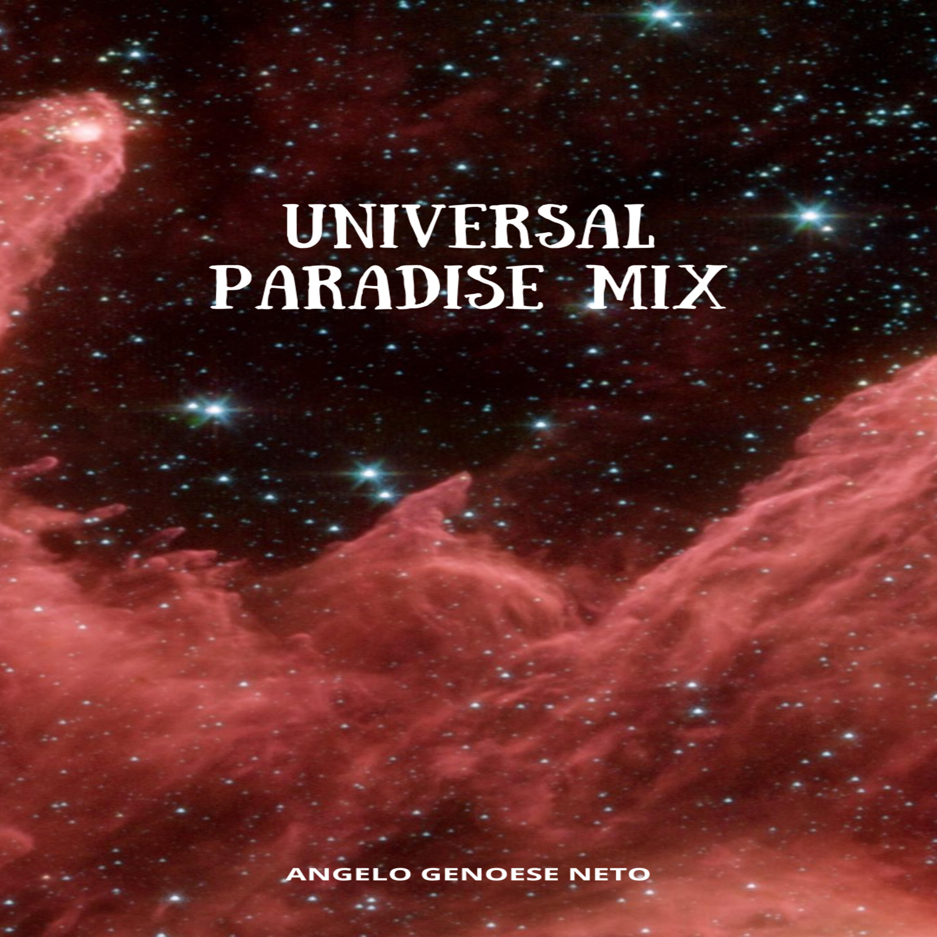 Релиз Universal Paradise Mix