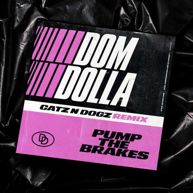 Релиз Pump the Brakes (Catz 'n Dogz Remix)