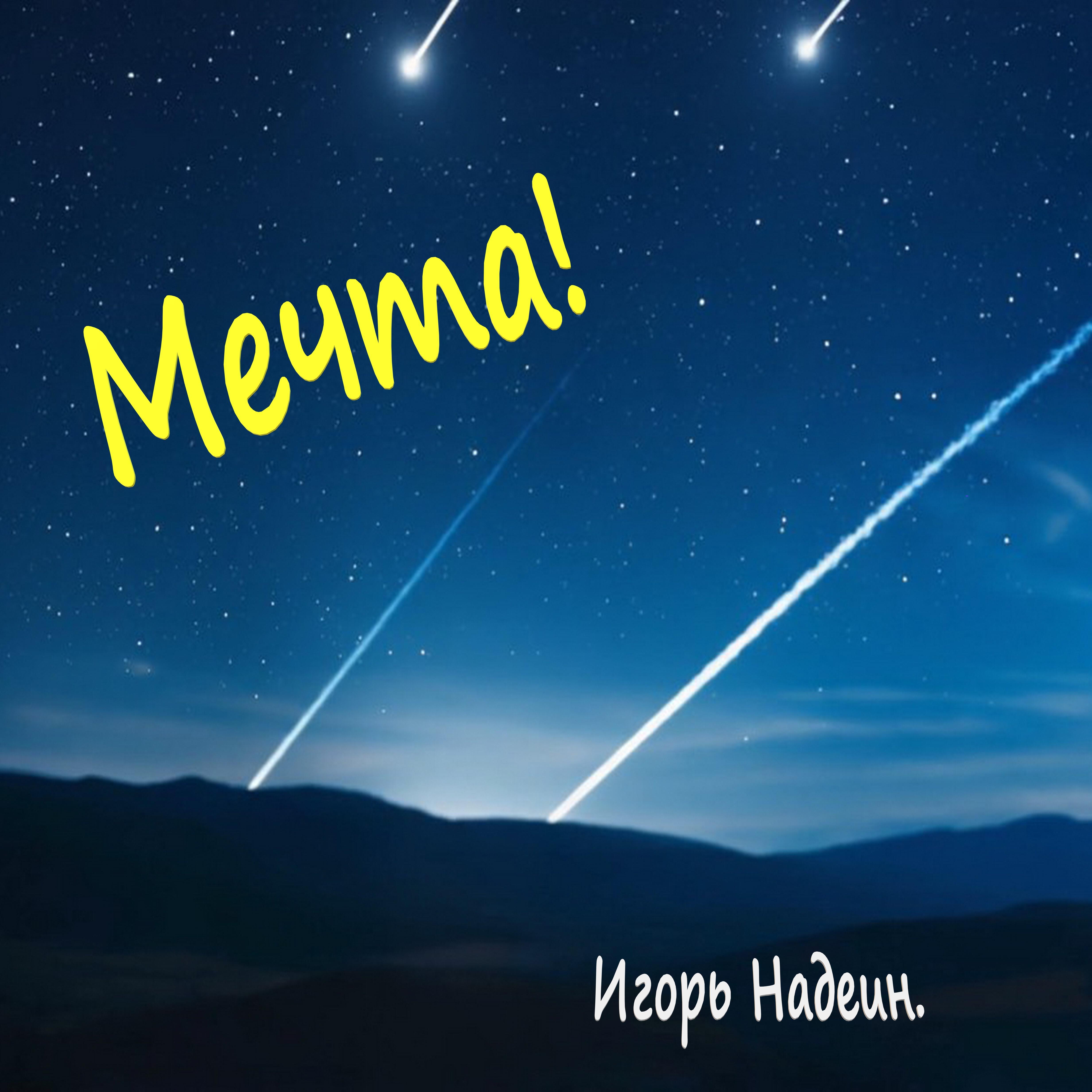 Игорь Надеин
